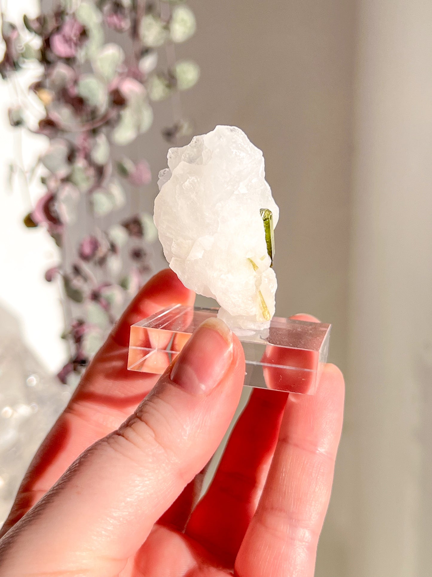 Green Tourmaline in quartz