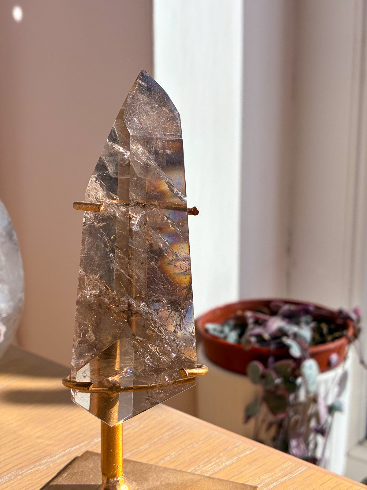 Smokey Lemurian on stand