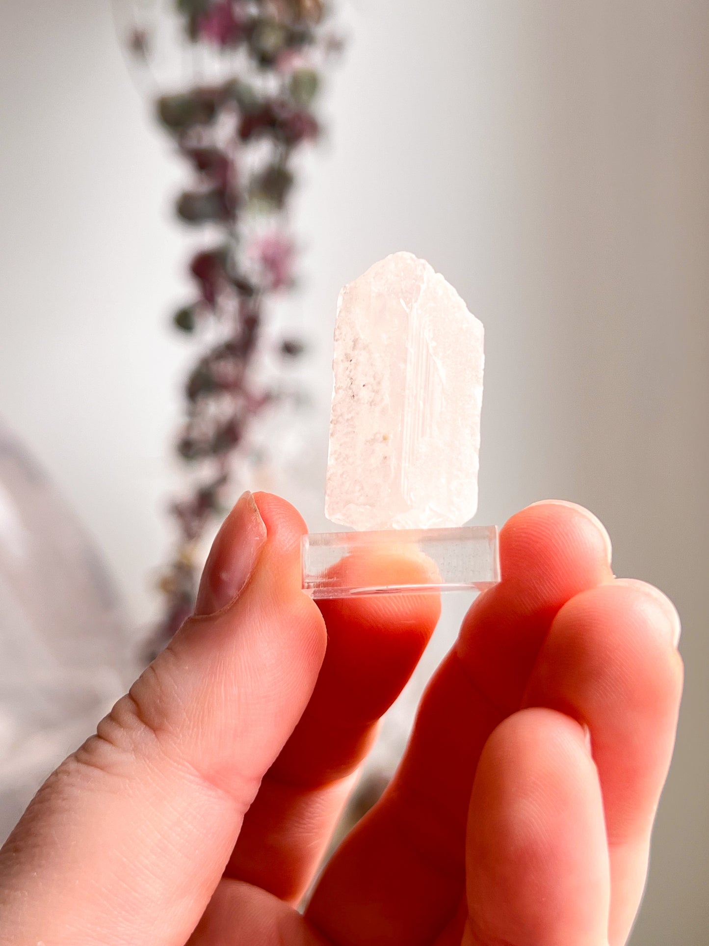 Pink Danburite