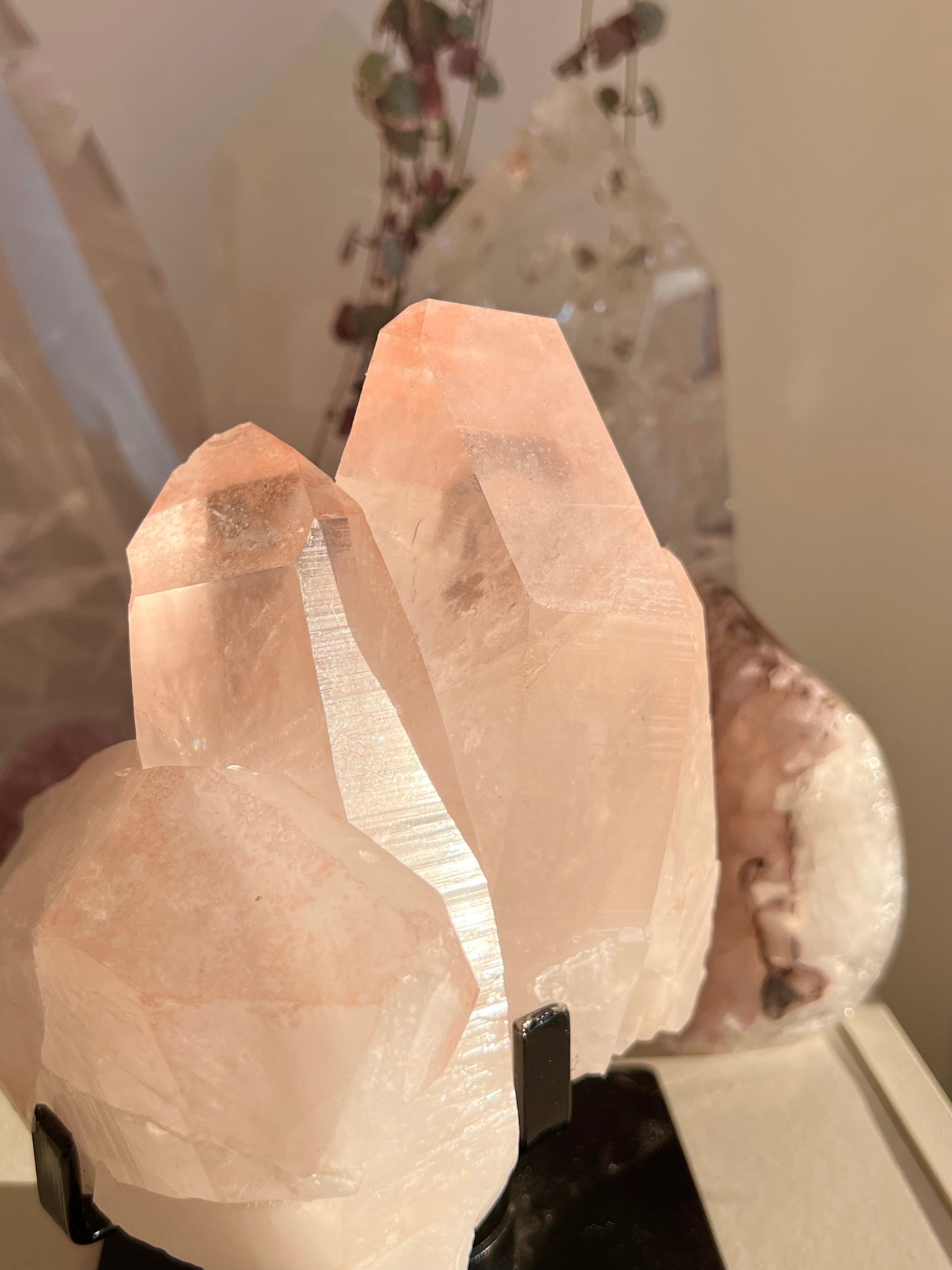 XL Pink lemurian cluster