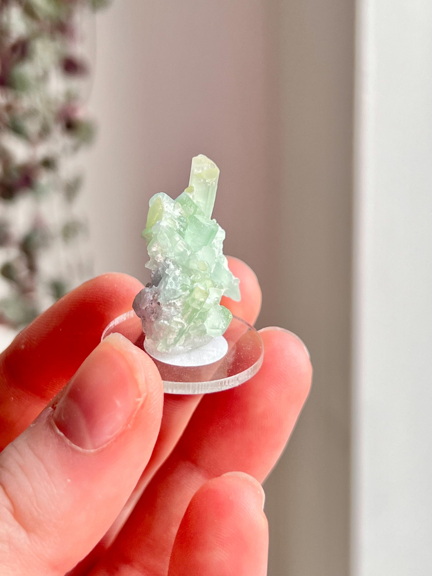 Green Tourmaline Cluster