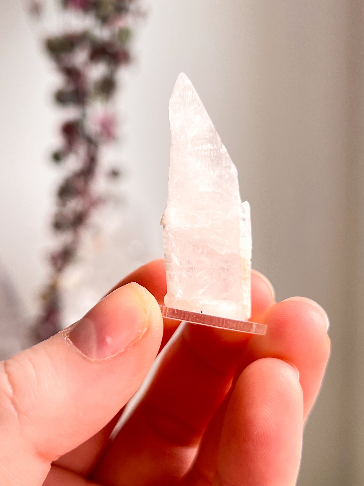 Pink Danburite