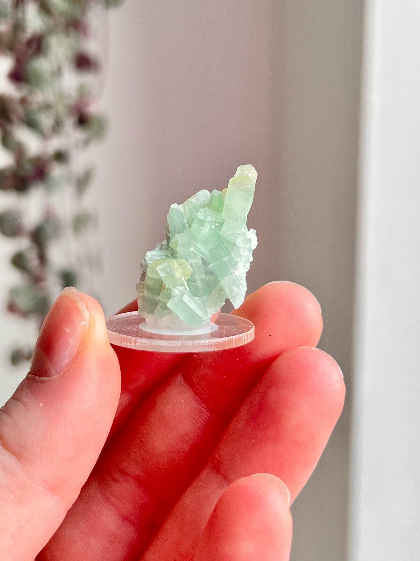 Green Tourmaline Cluster