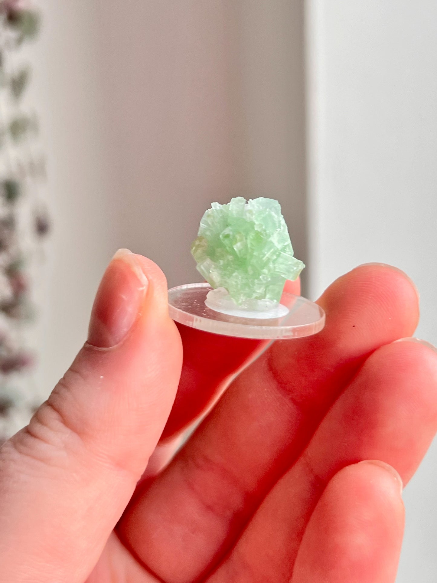 Green Tourmaline Cluster