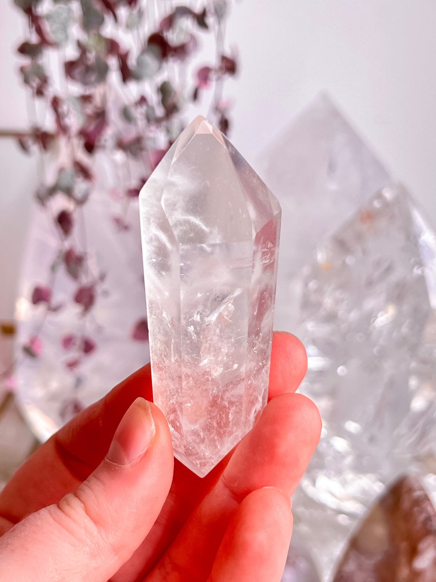 Amphibole in Quartz