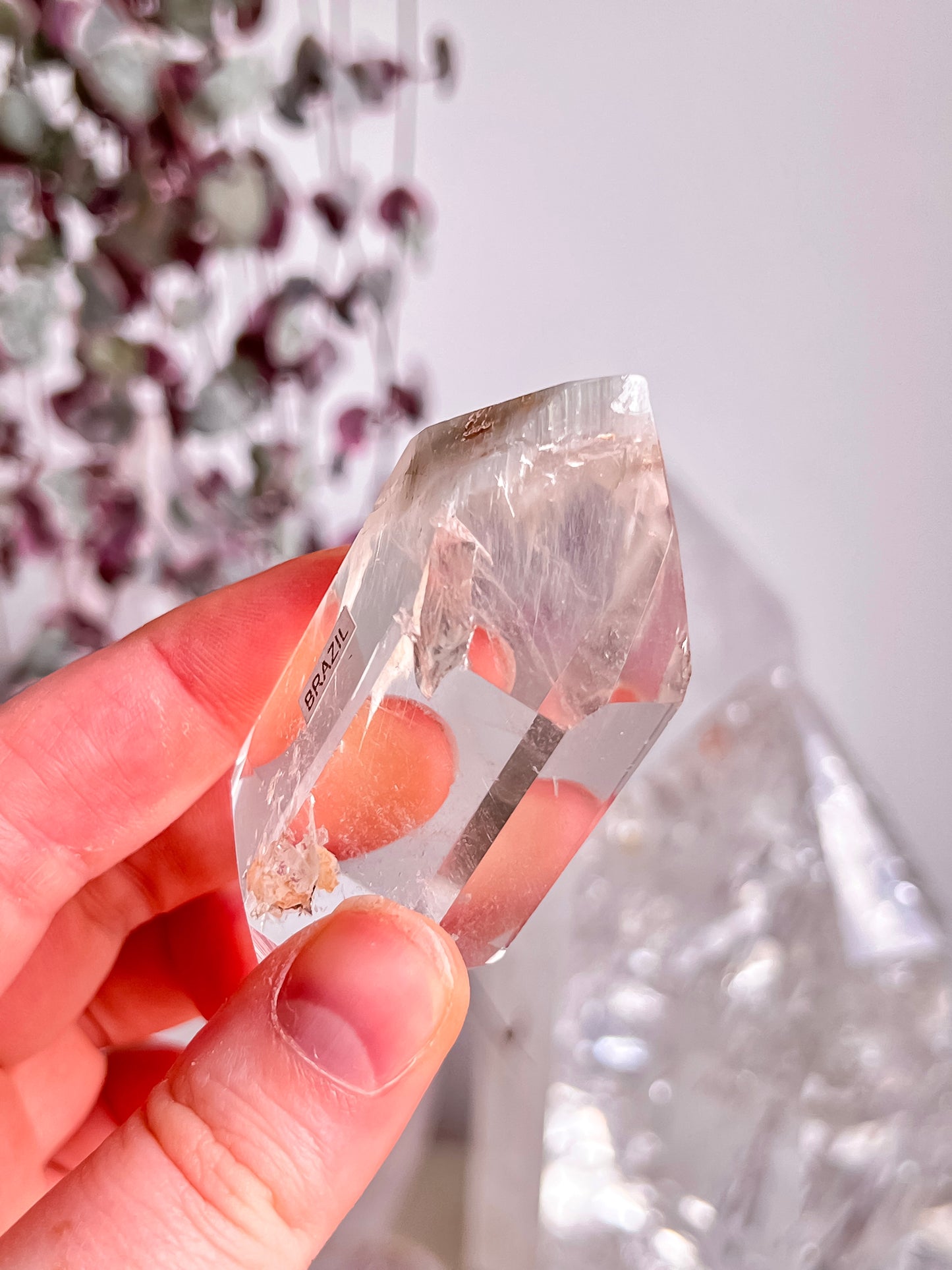 Amphibole in Quartz