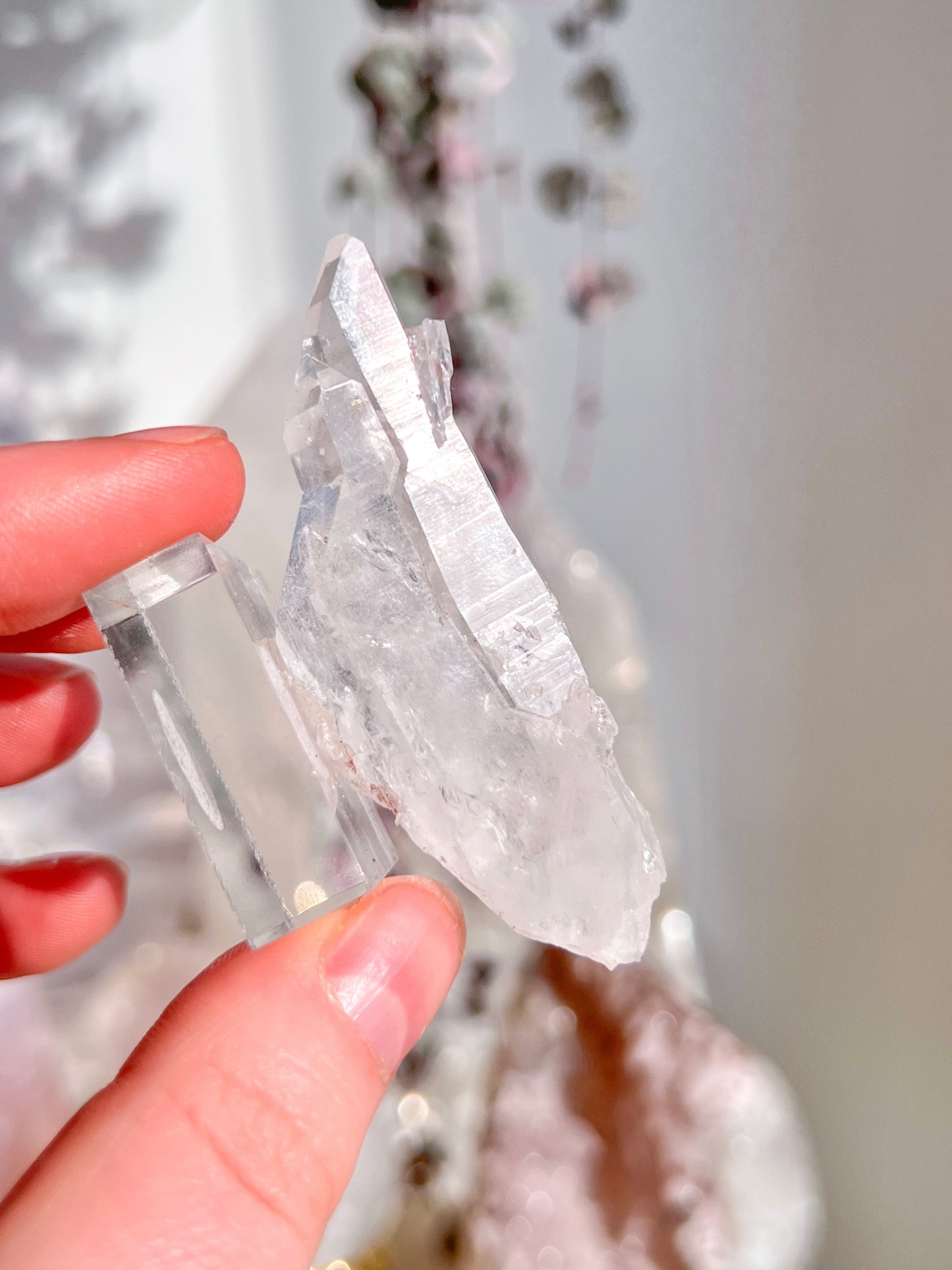 Sacred Pink Lemurian Cluster