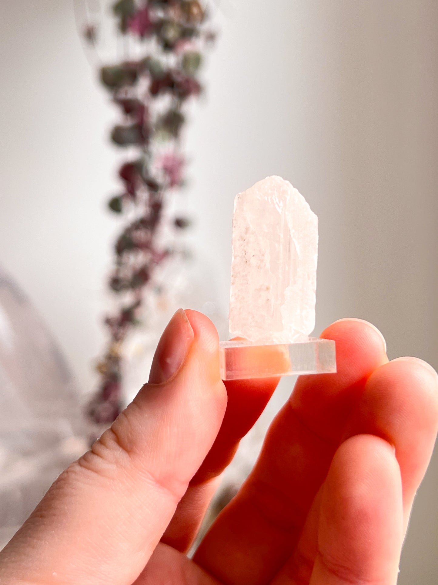 Pink Danburite