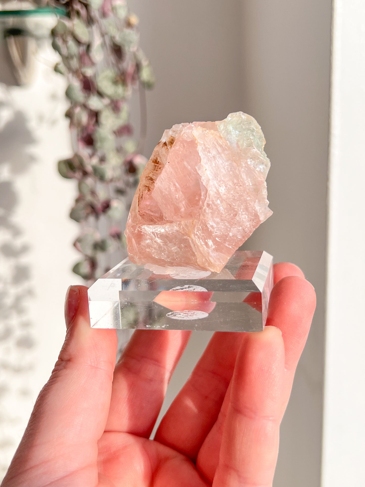 Rare Large Pink & Green Fluorite