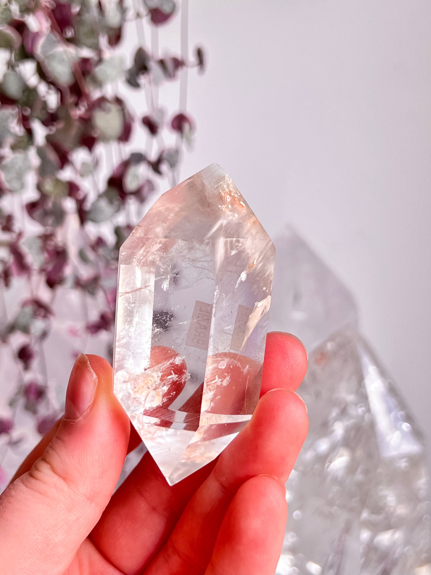 Amphibole in Quartz