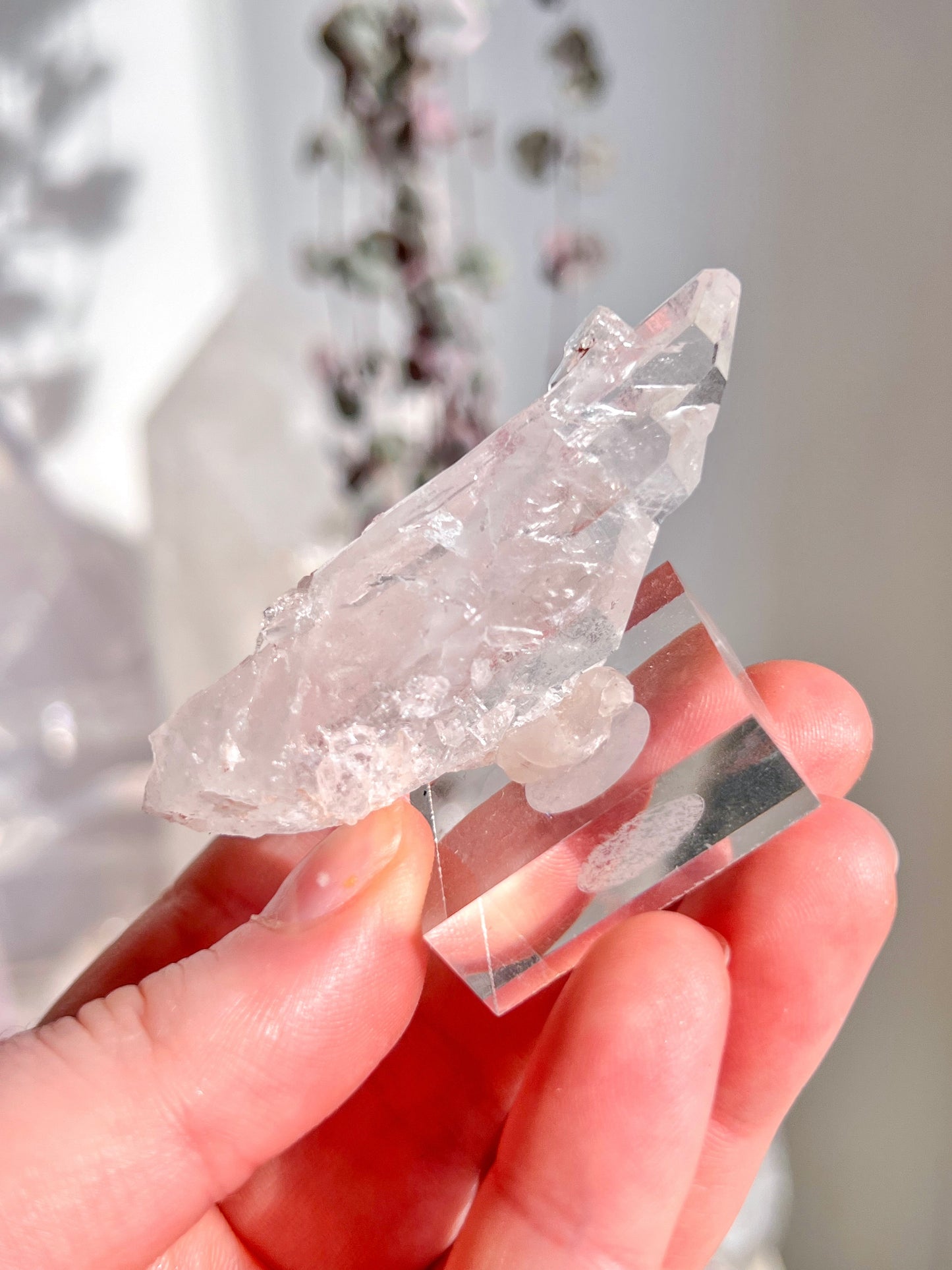Sacred Pink Lemurian Cluster