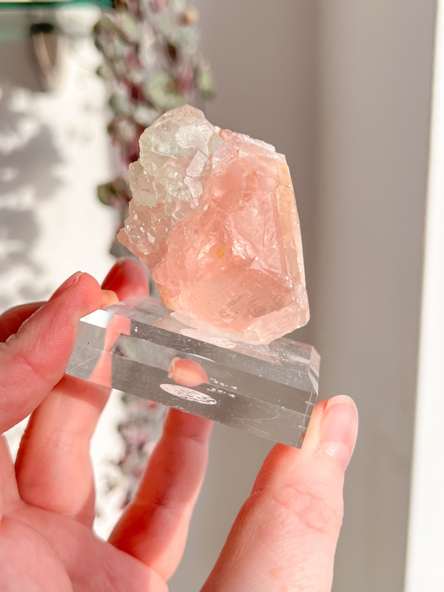 Rare Large Pink & Green Fluorite