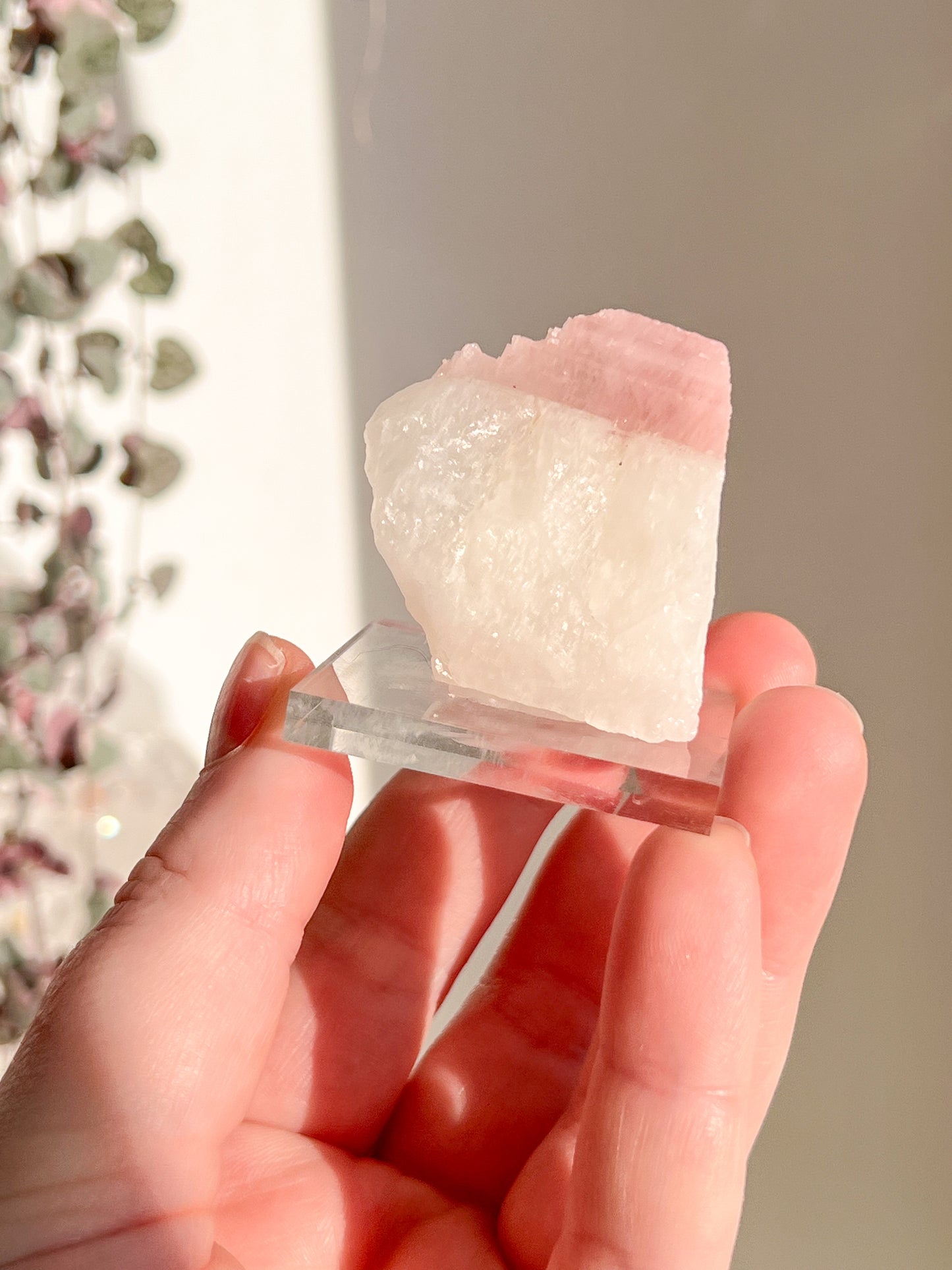 Pink Tourmaline in Quartz