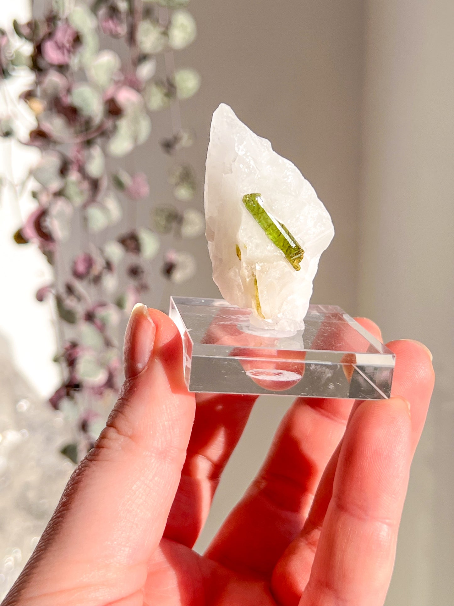 Green Tourmaline in quartz