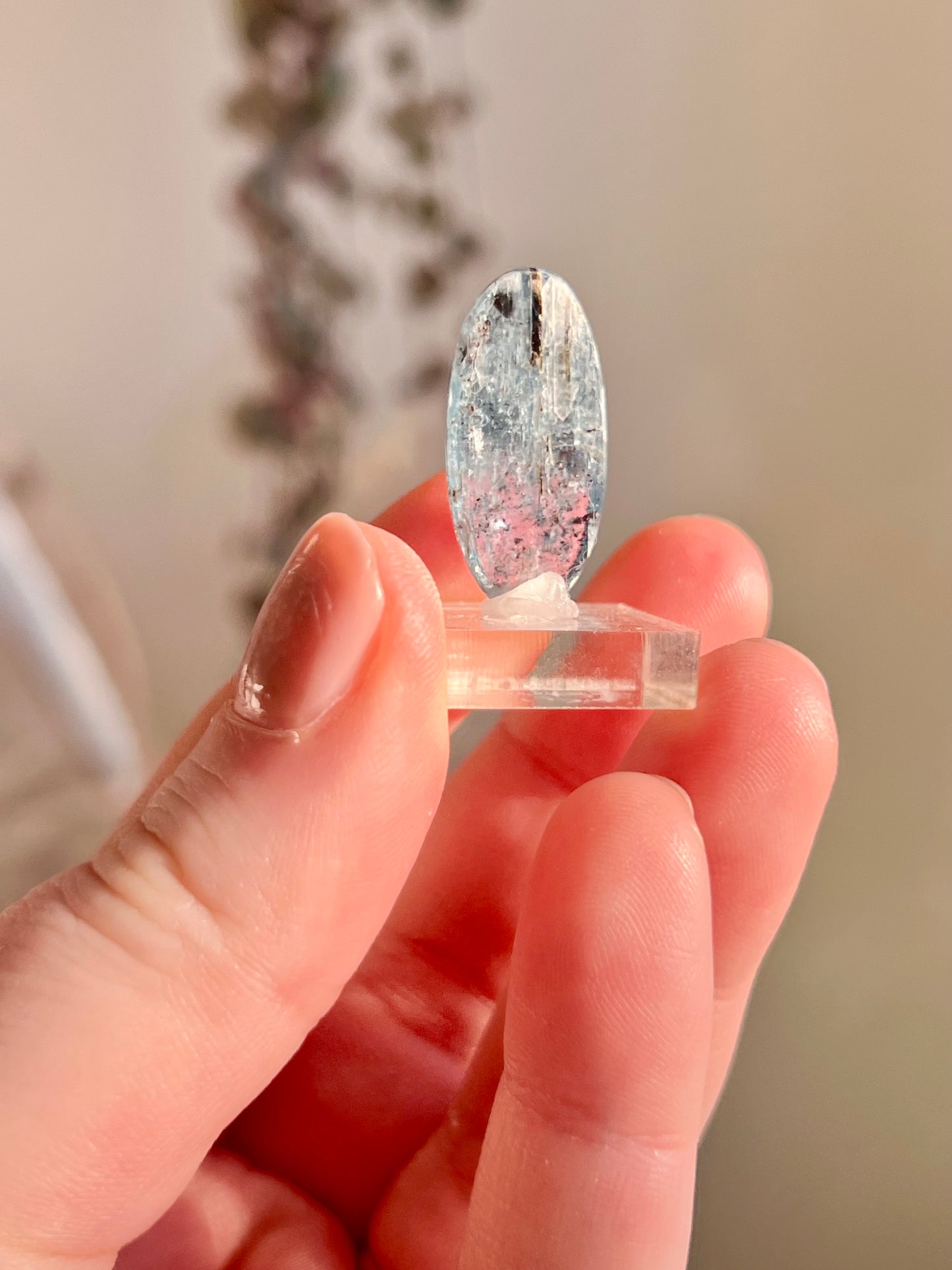 Gem Grade Kyanite