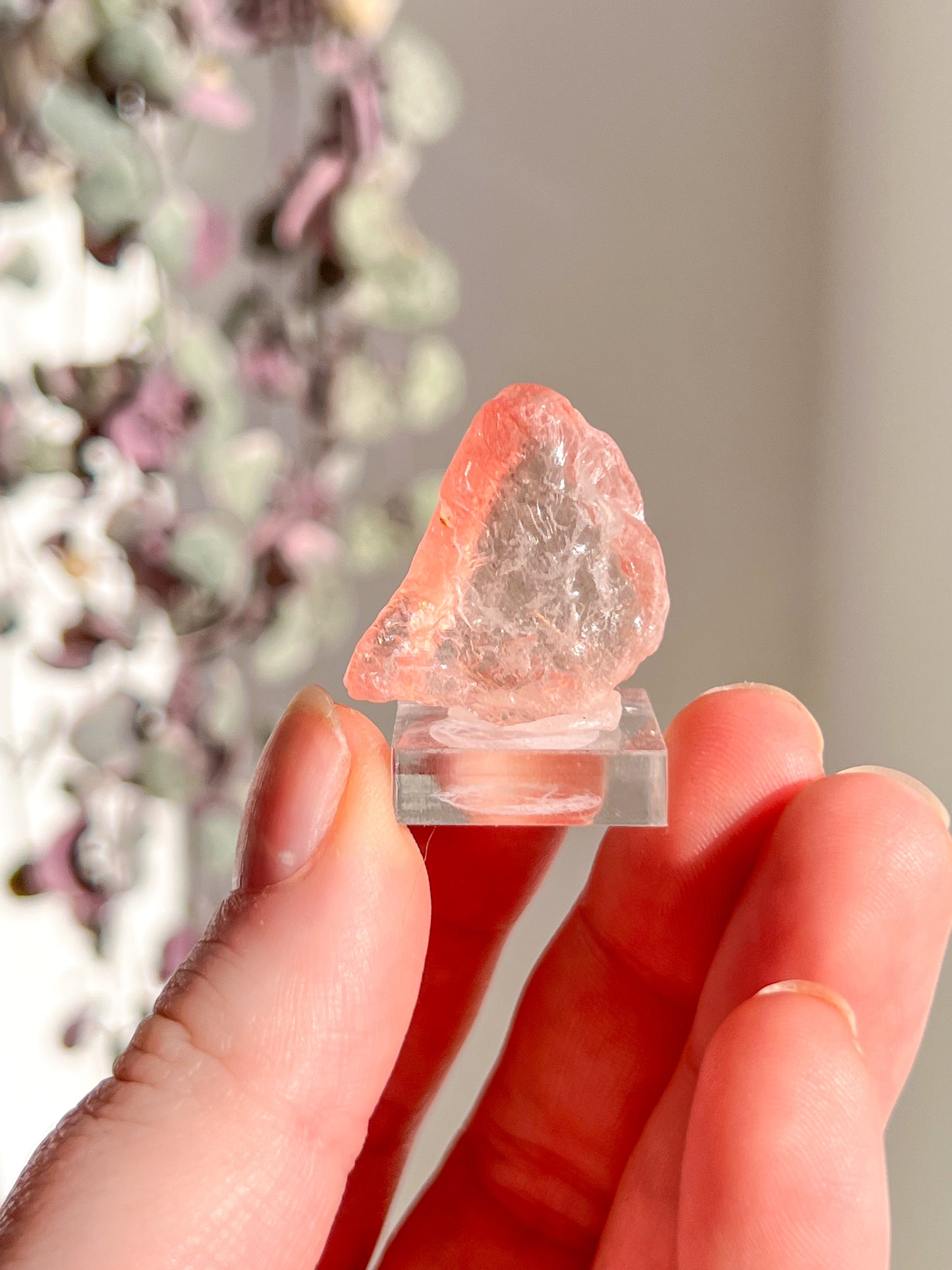 Bi coloured fluorite