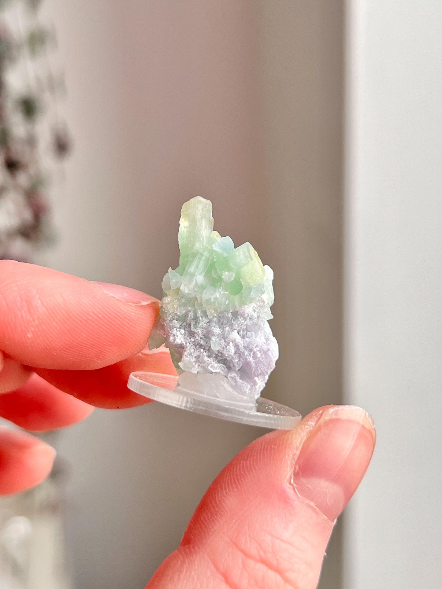 Green Tourmaline Cluster