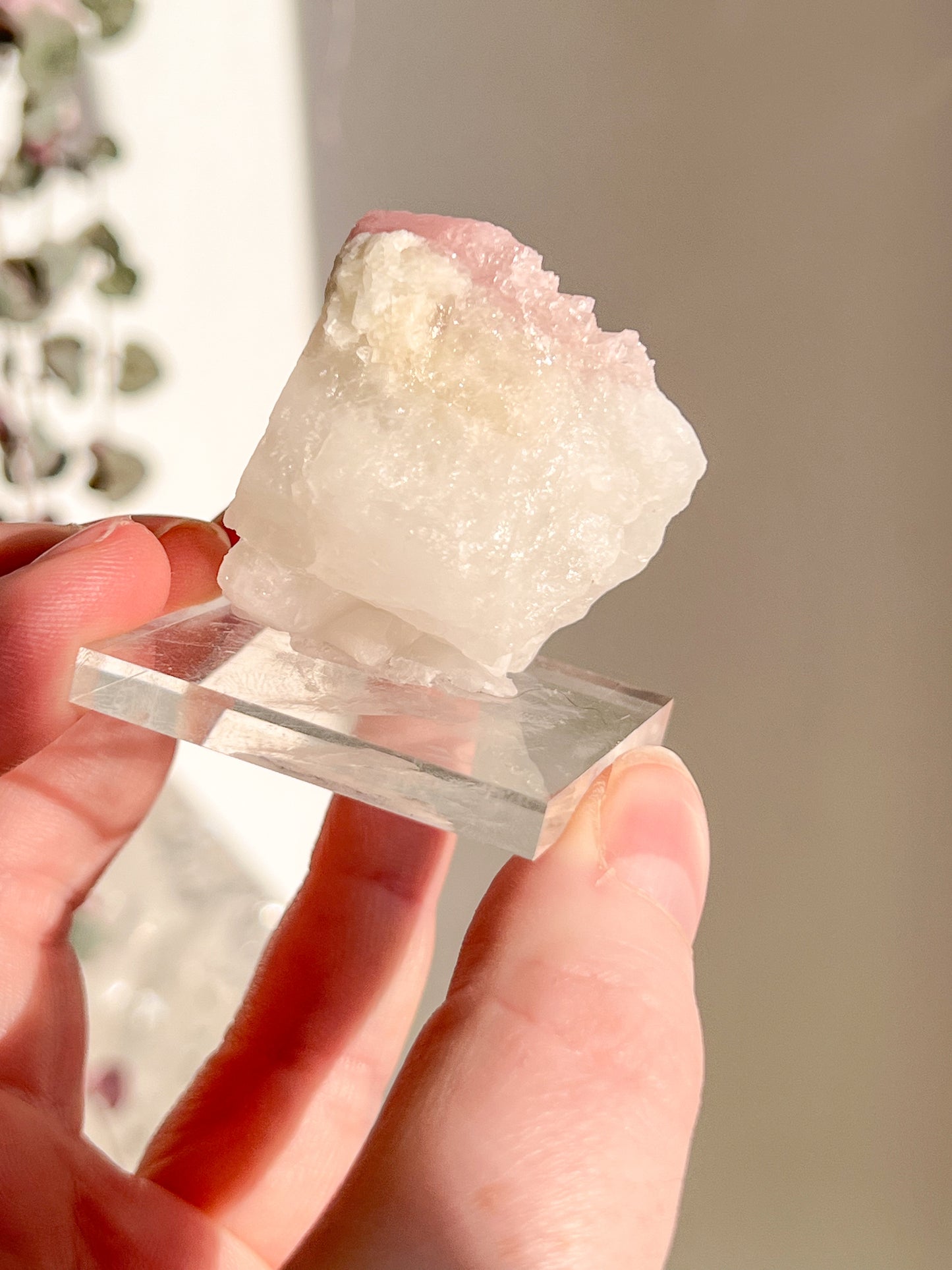Pink Tourmaline in Quartz