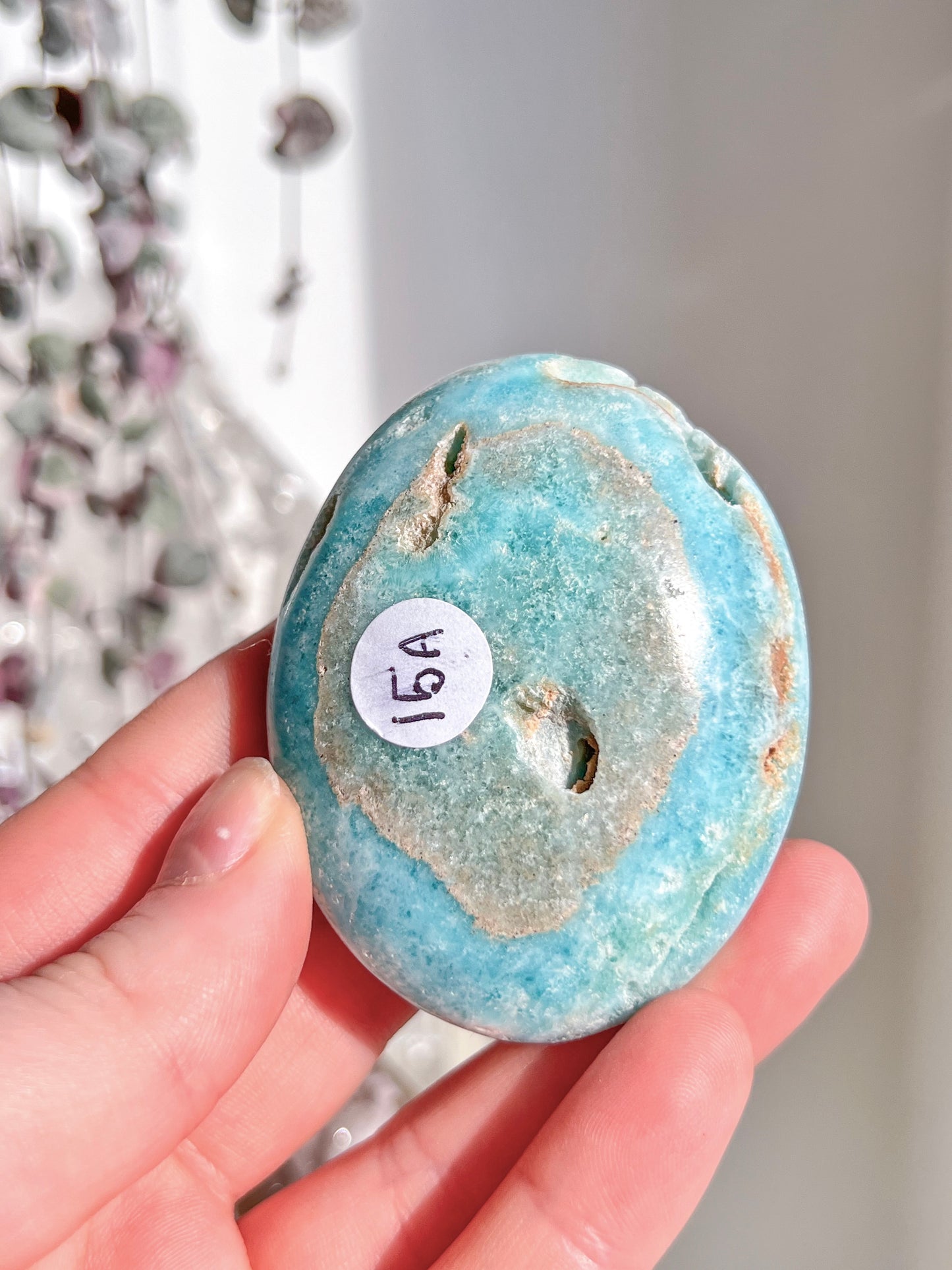 High Grade Blue Aragonite Palm