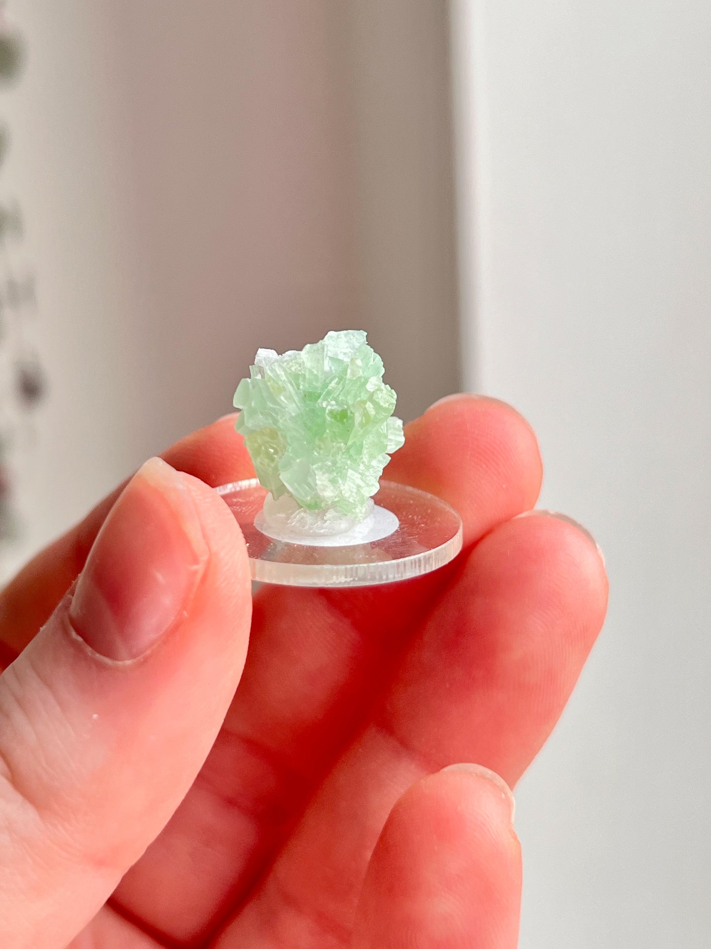Green Tourmaline Cluster