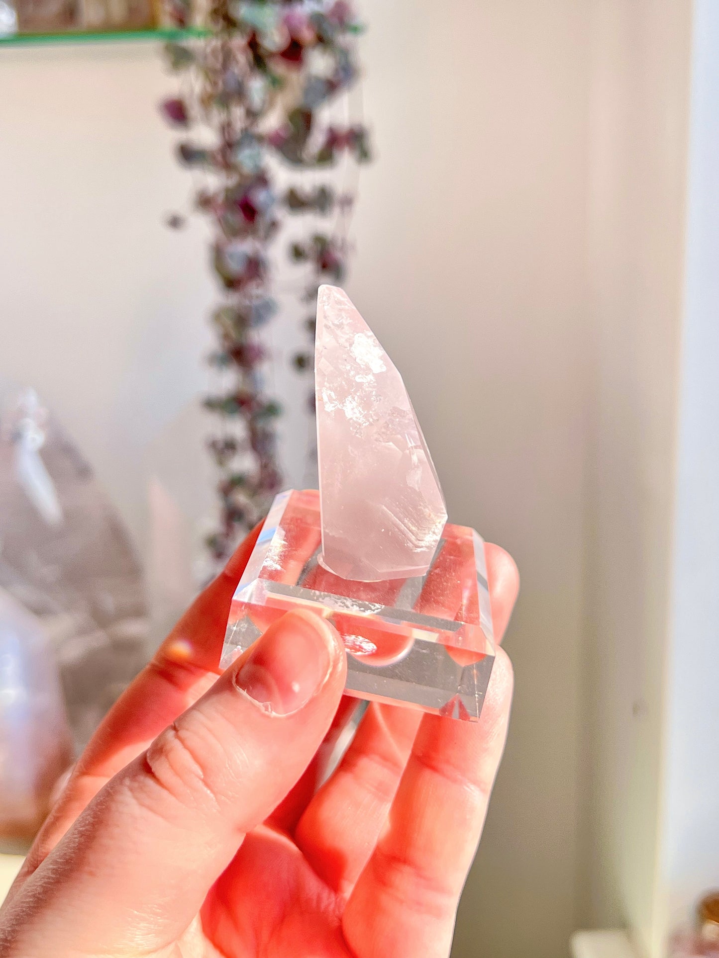 Pink Lithium freeform