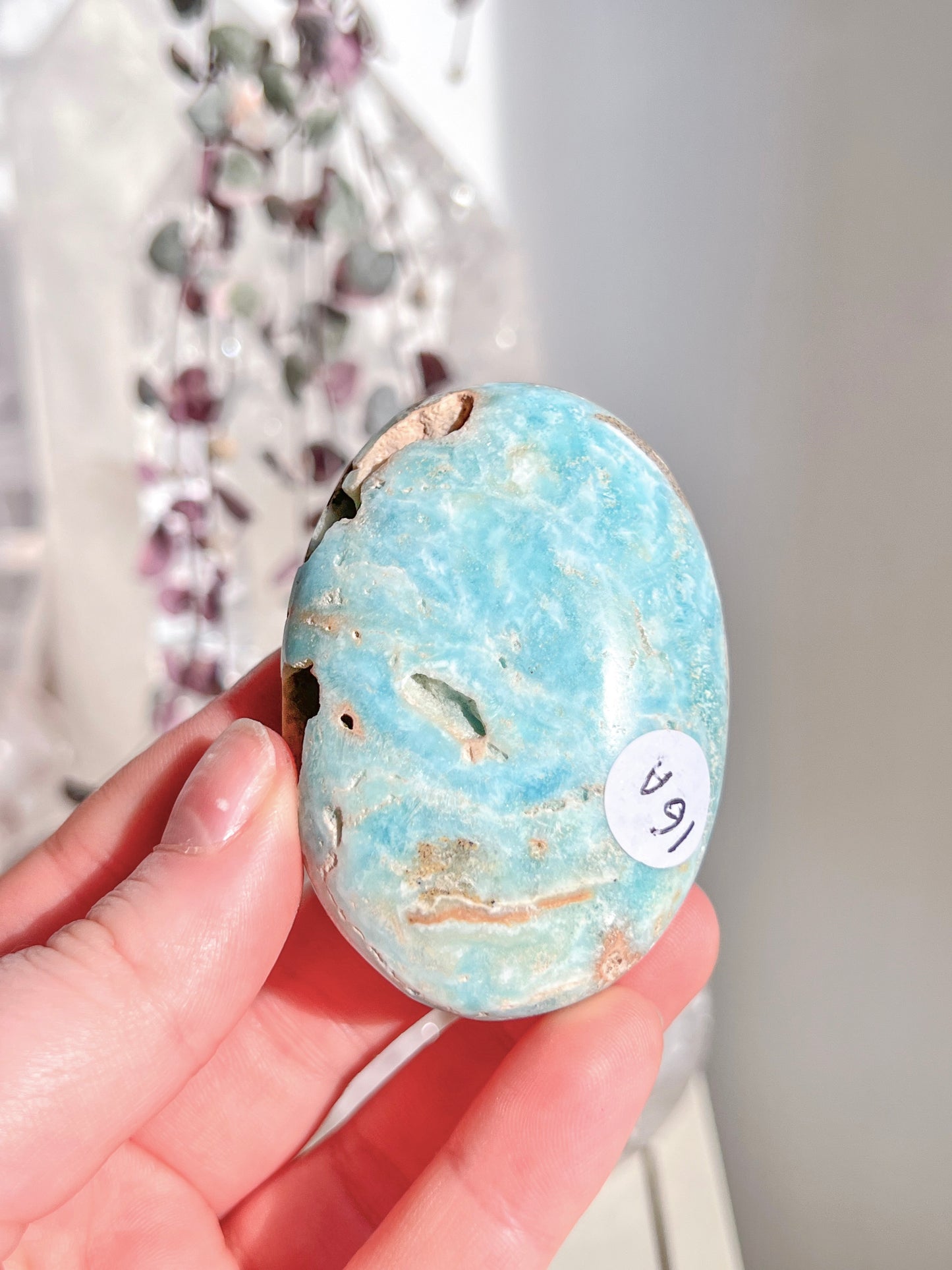 High Grade Blue Aragonite Palm