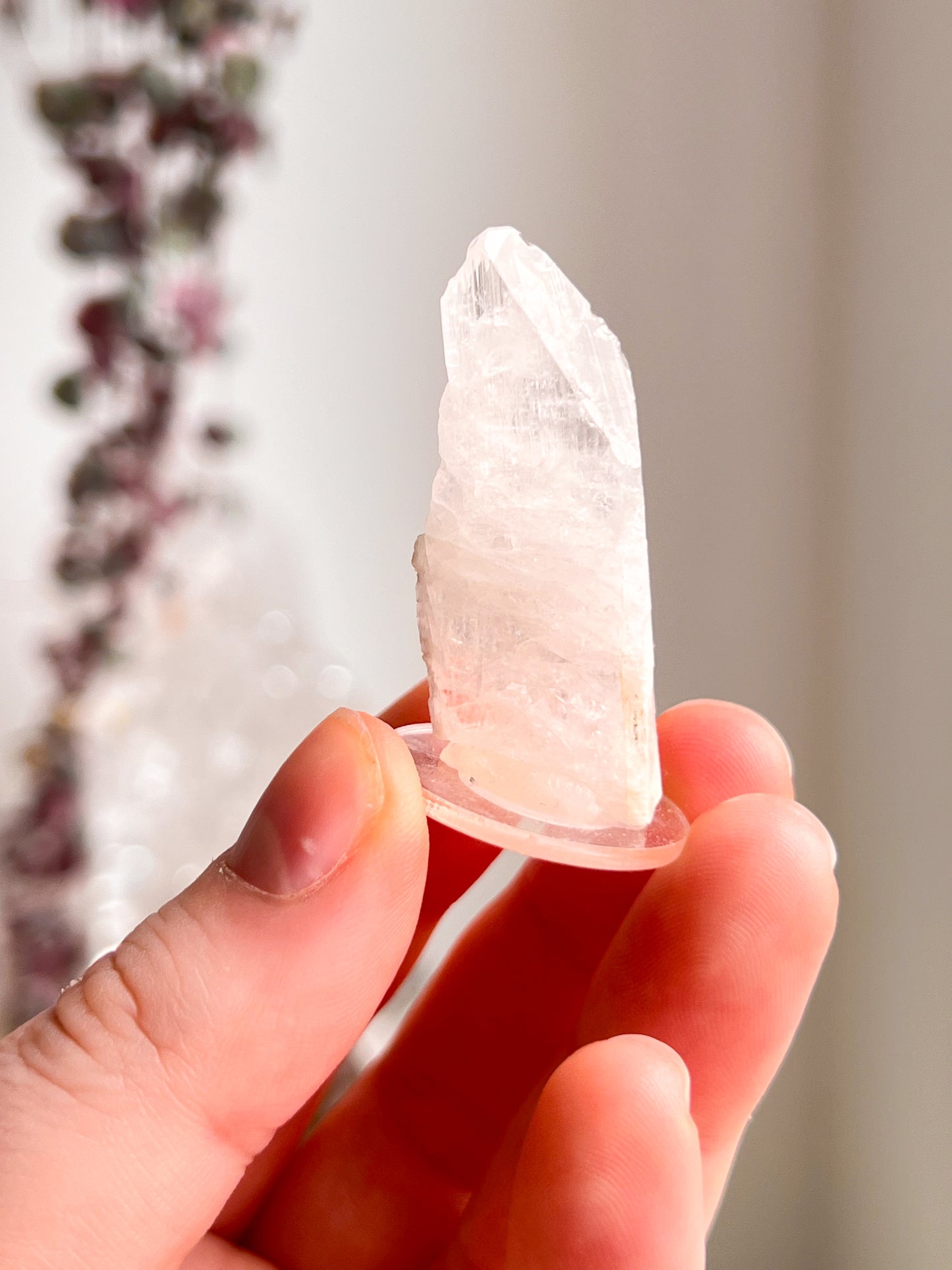 Pink Danburite