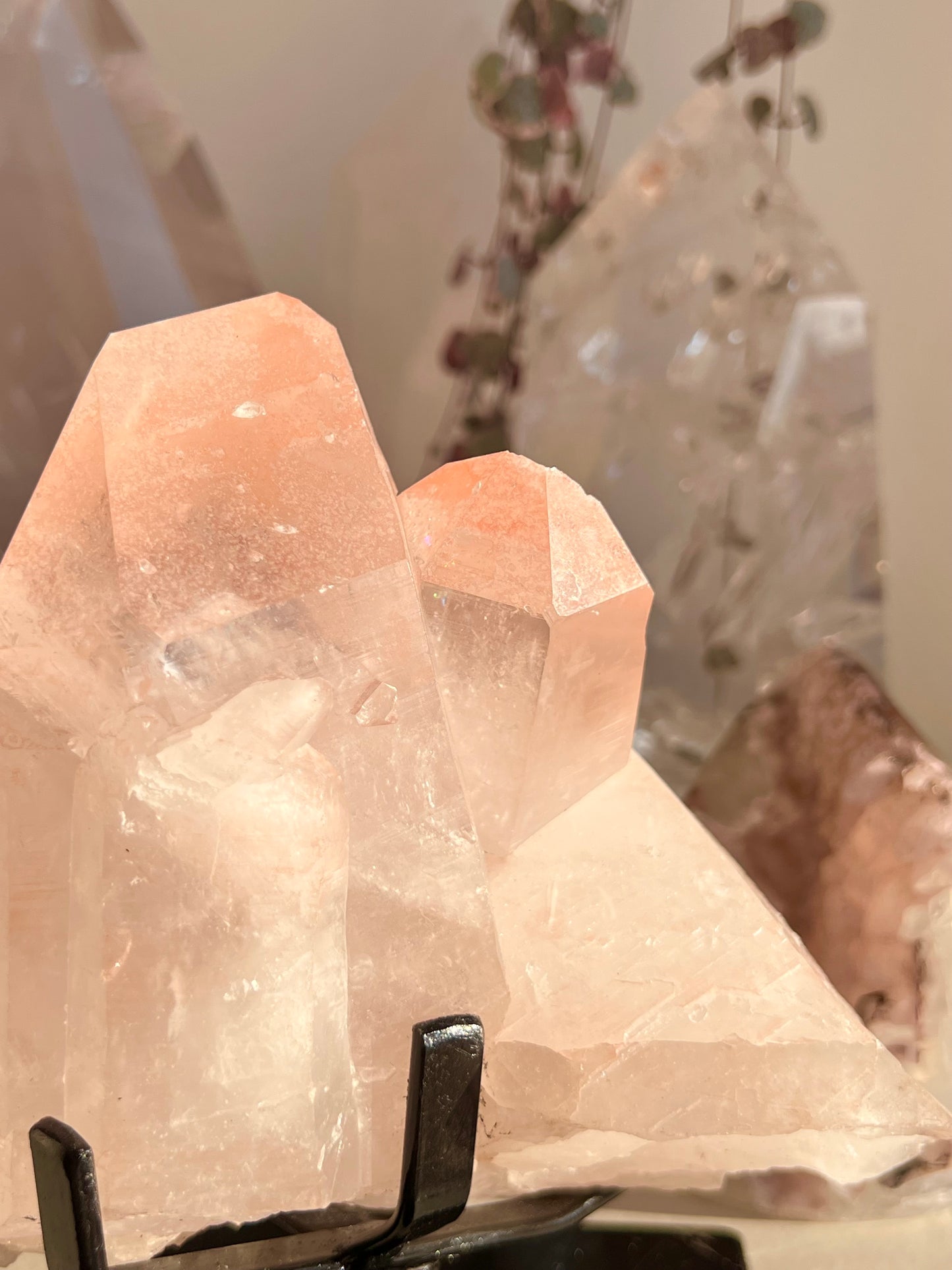 XL Pink lemurian cluster
