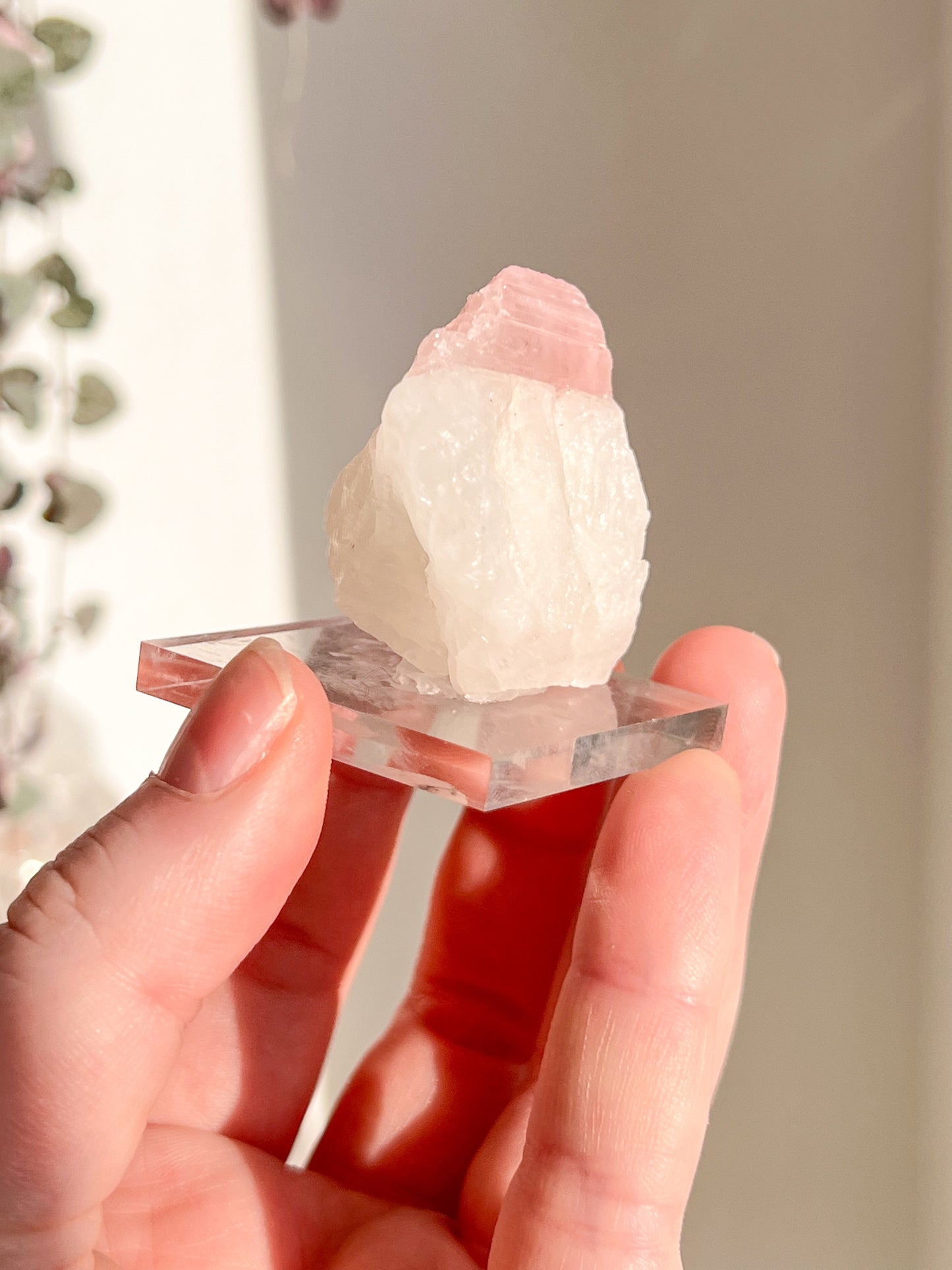 Pink Tourmaline in Quartz
