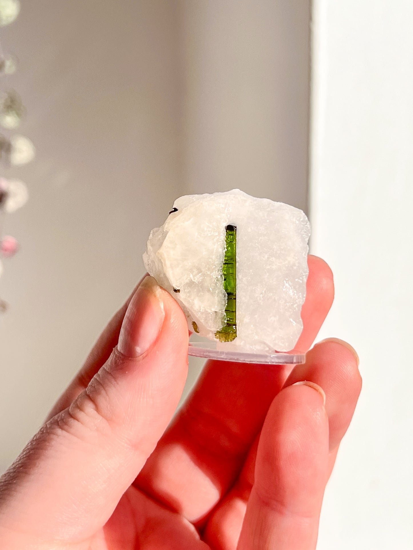 Green Tourmaline in quartz
