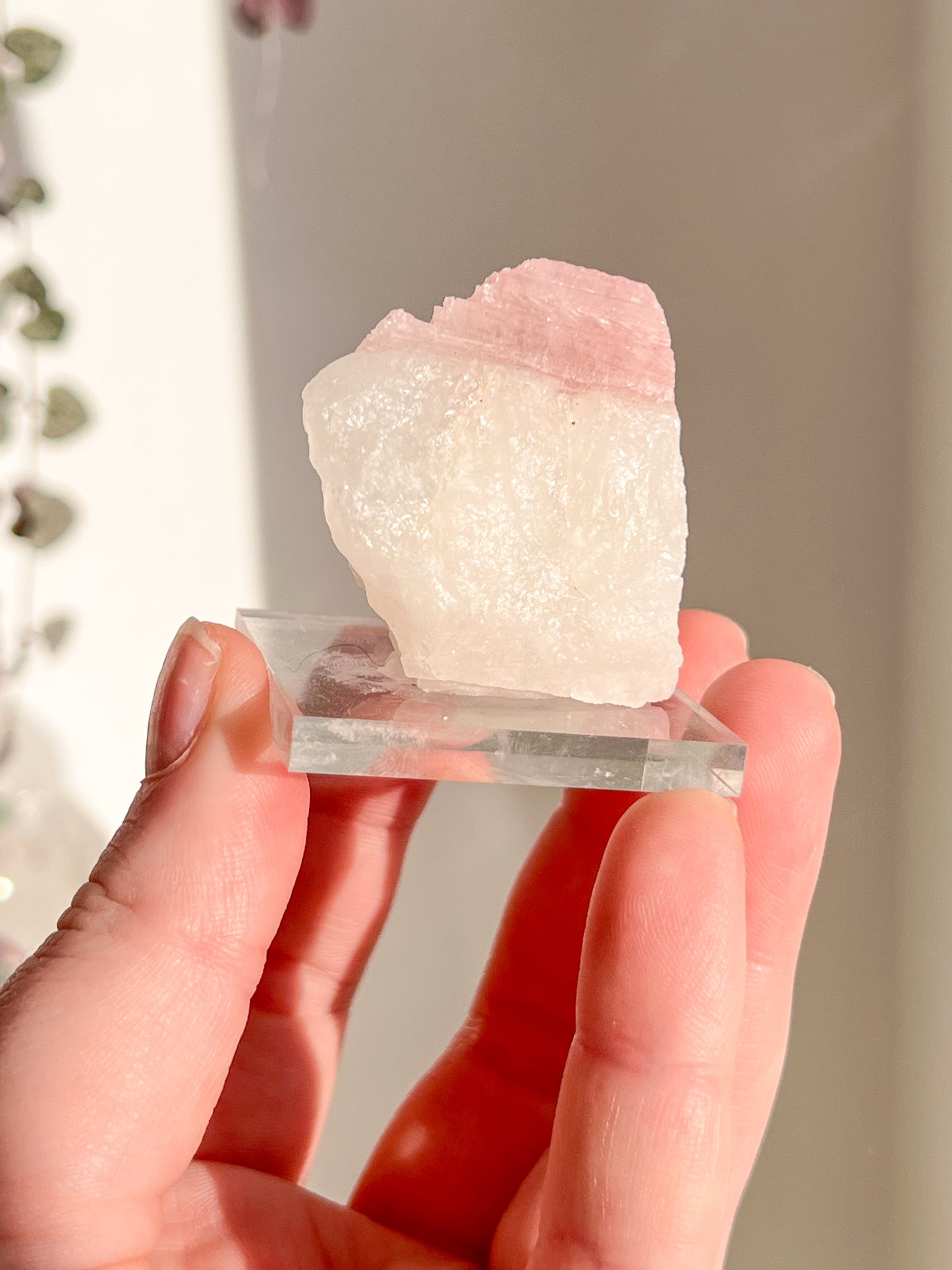 Pink Tourmaline in Quartz