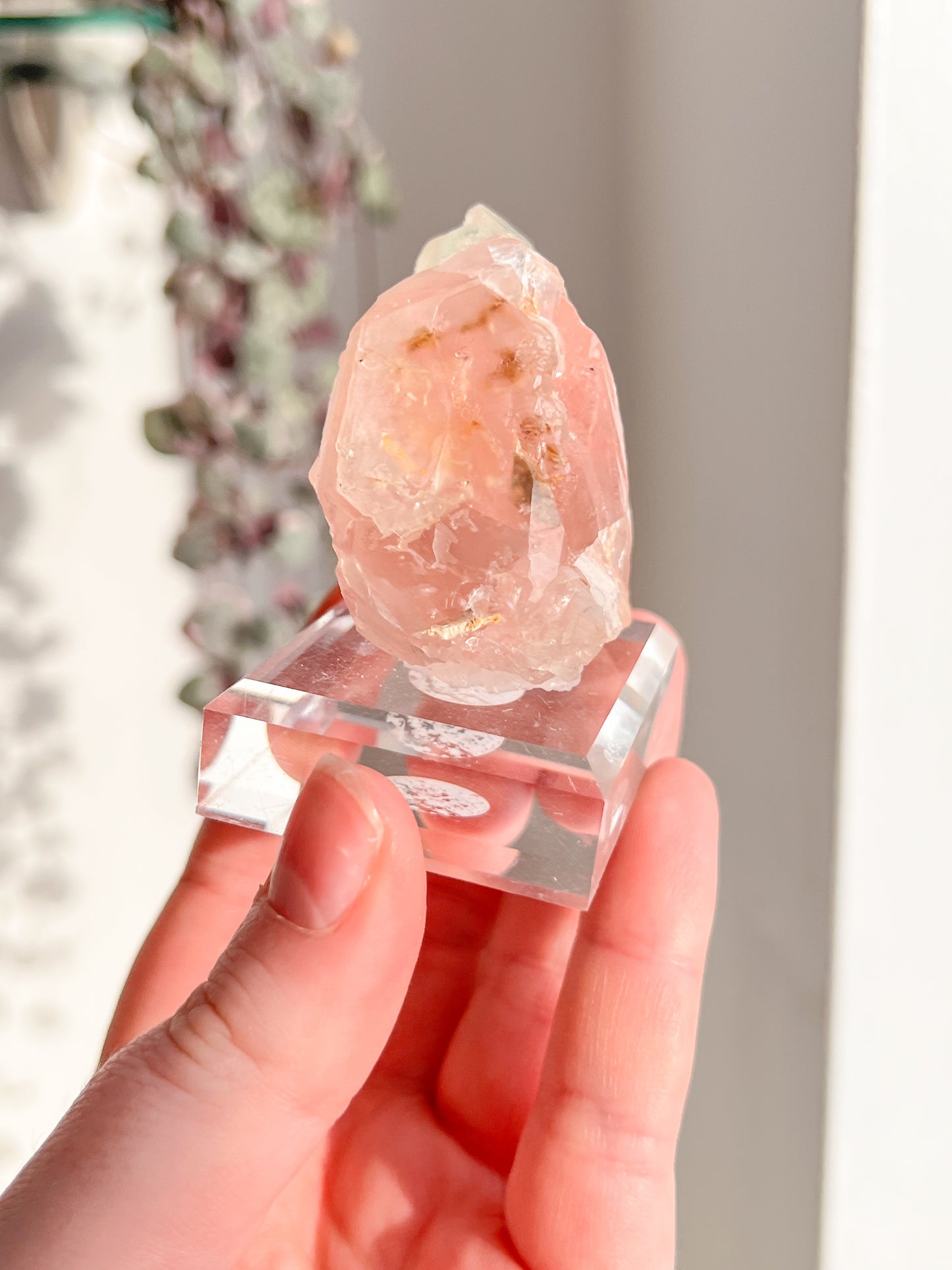 Rare Large Pink & Green Fluorite