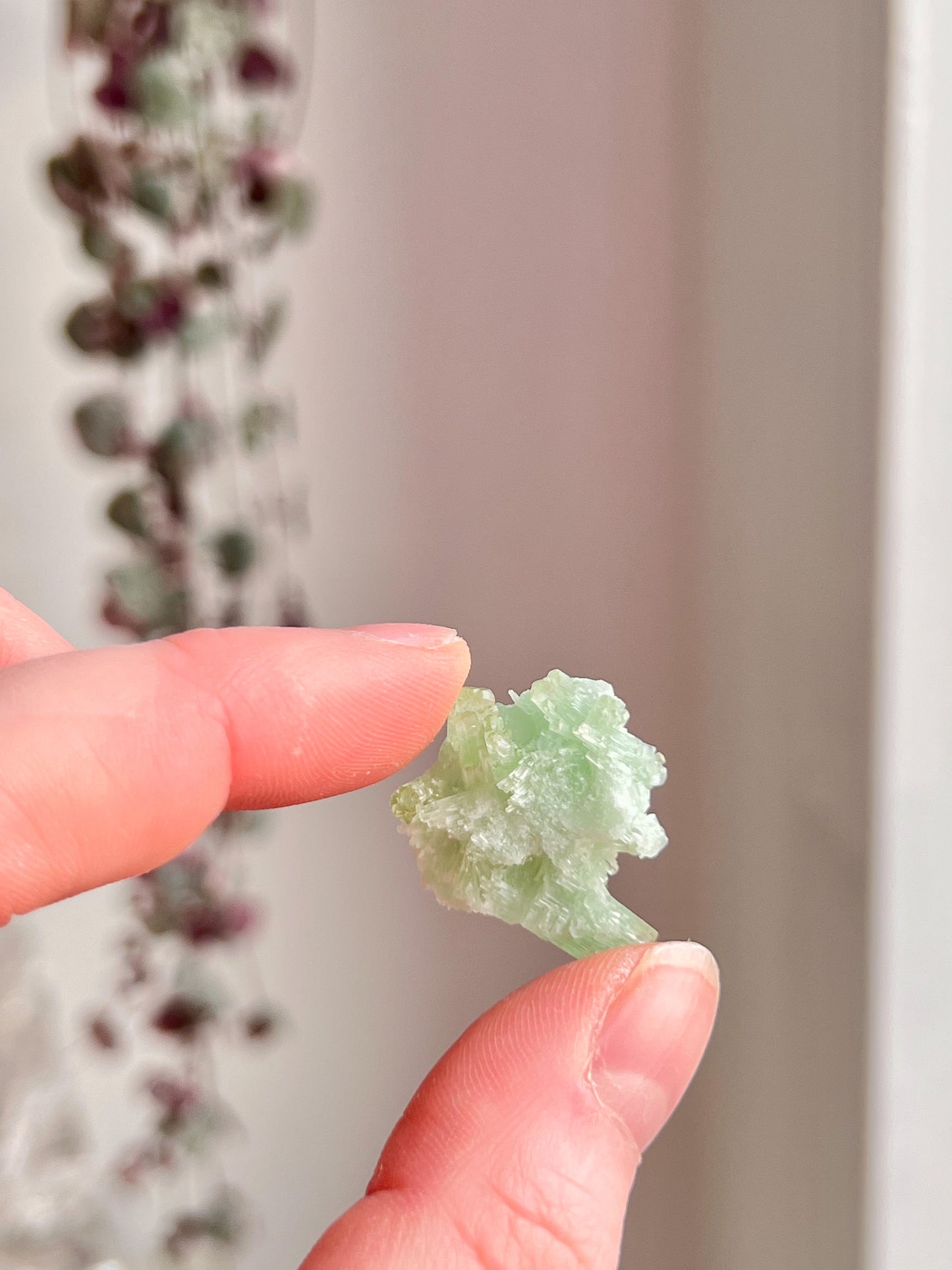 Green Tourmaline Cluster