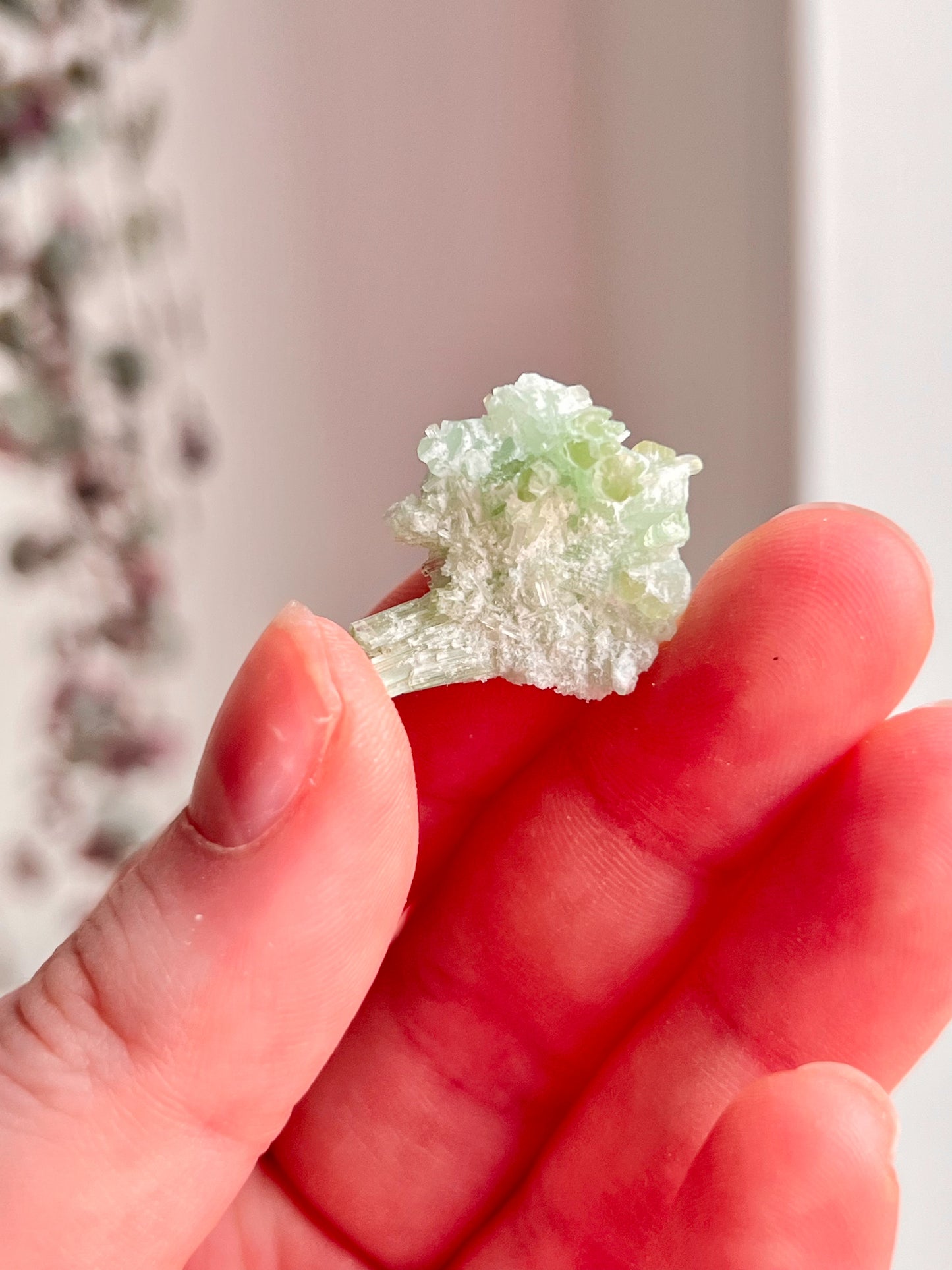 Green Tourmaline Cluster
