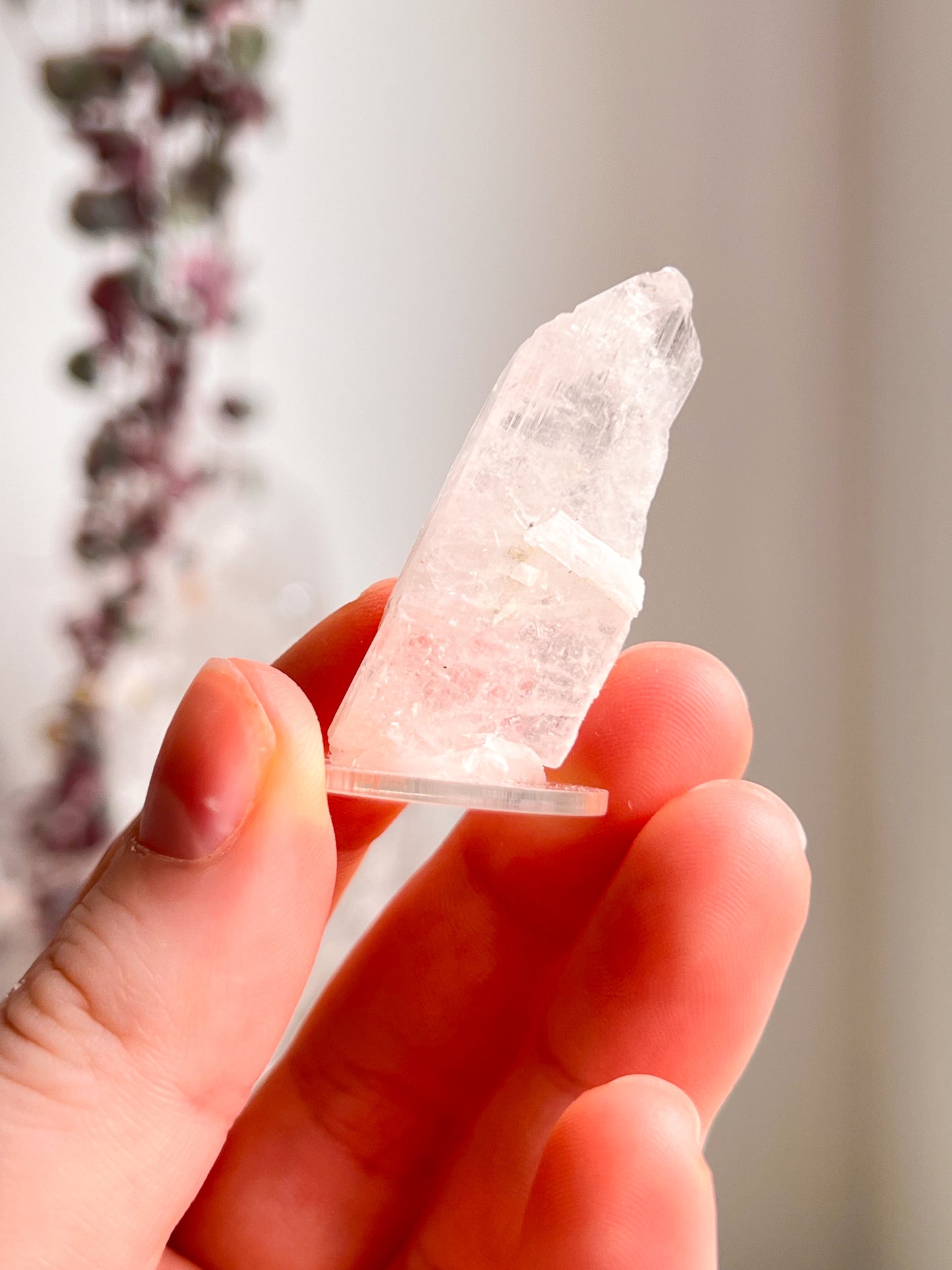 Pink Danburite