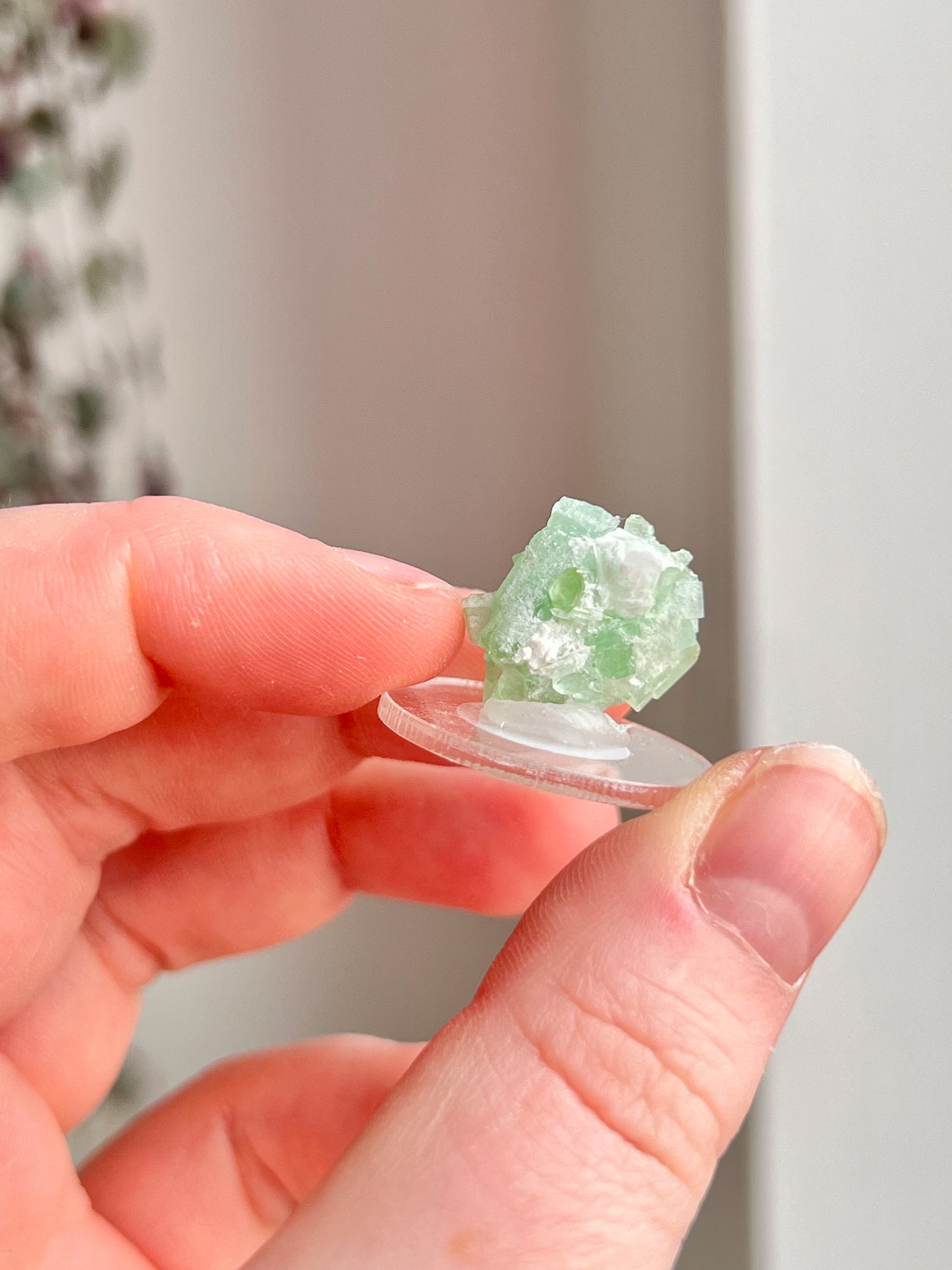 Green Tourmaline Cluster