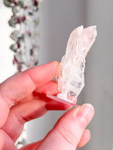 Load image into Gallery viewer, Sacred Pink Lemurian Cluster
