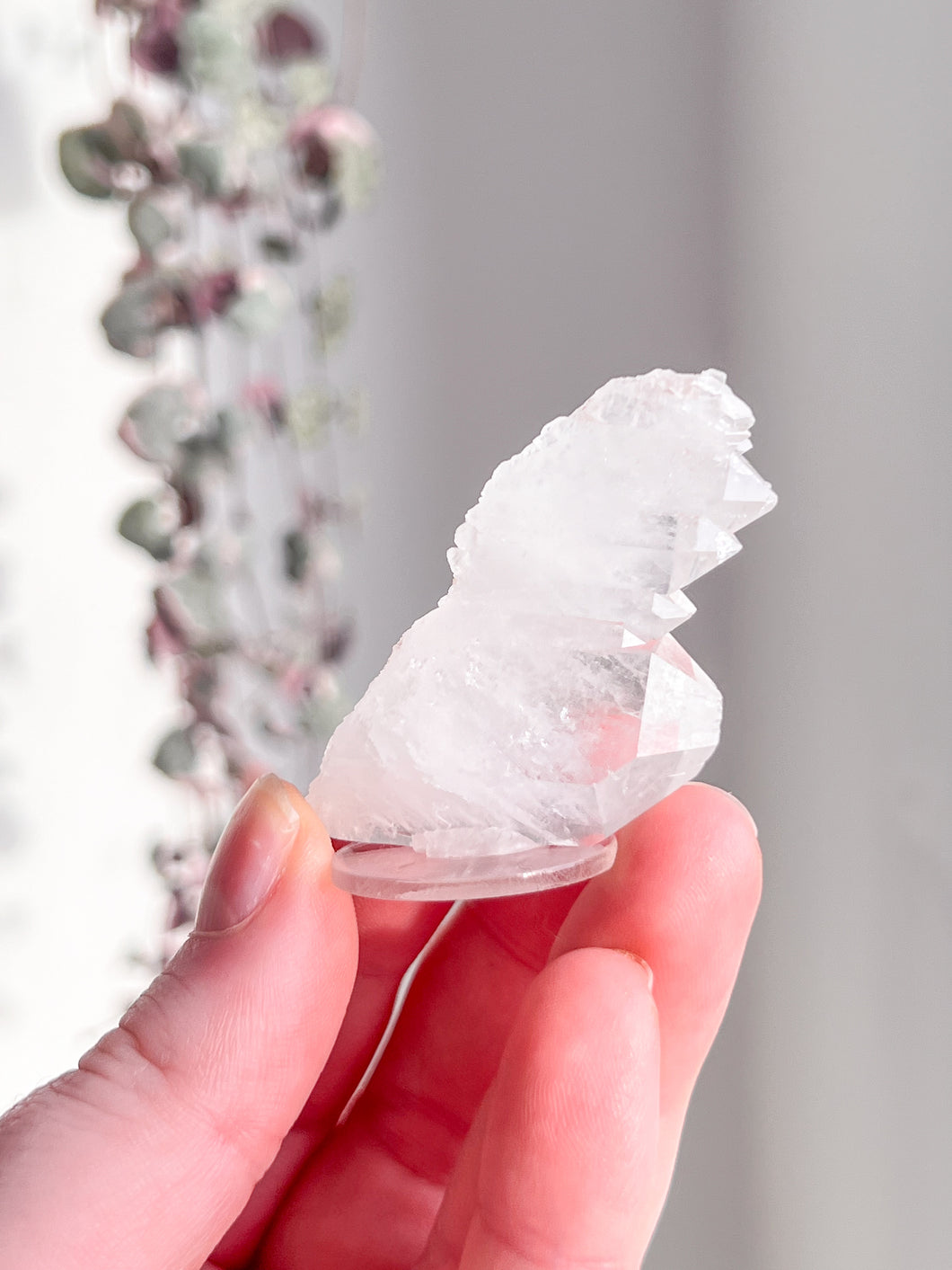 Sacred Pink Lemurian Cluster