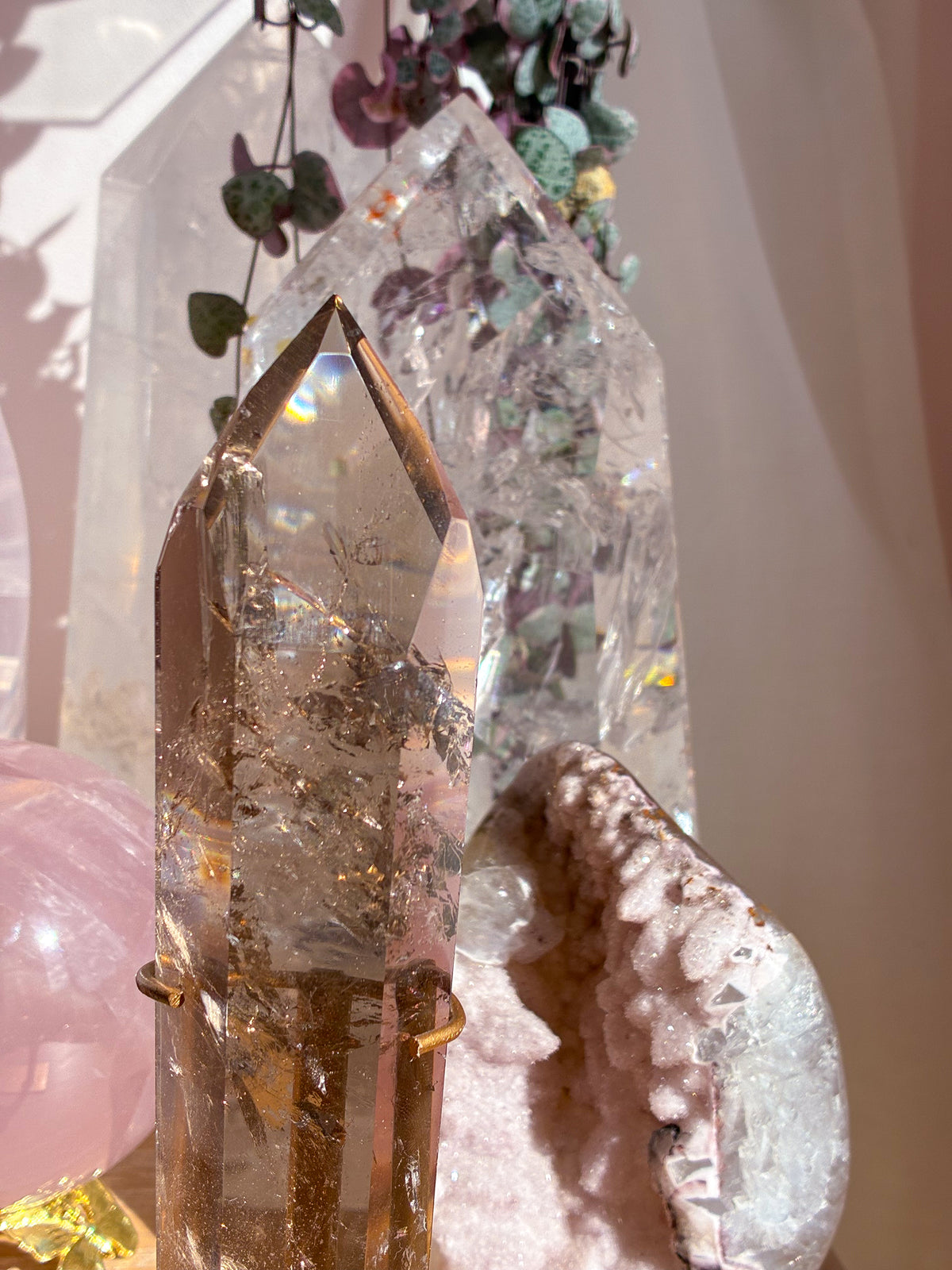 Smokey Lemurian on stand