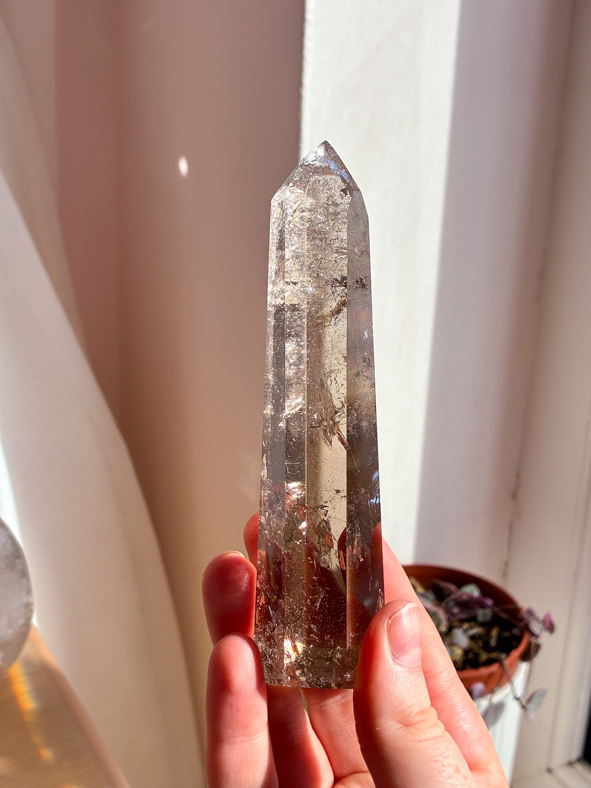 Smokey Lemurian on stand