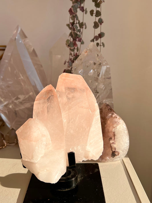 XL Pink lemurian cluster