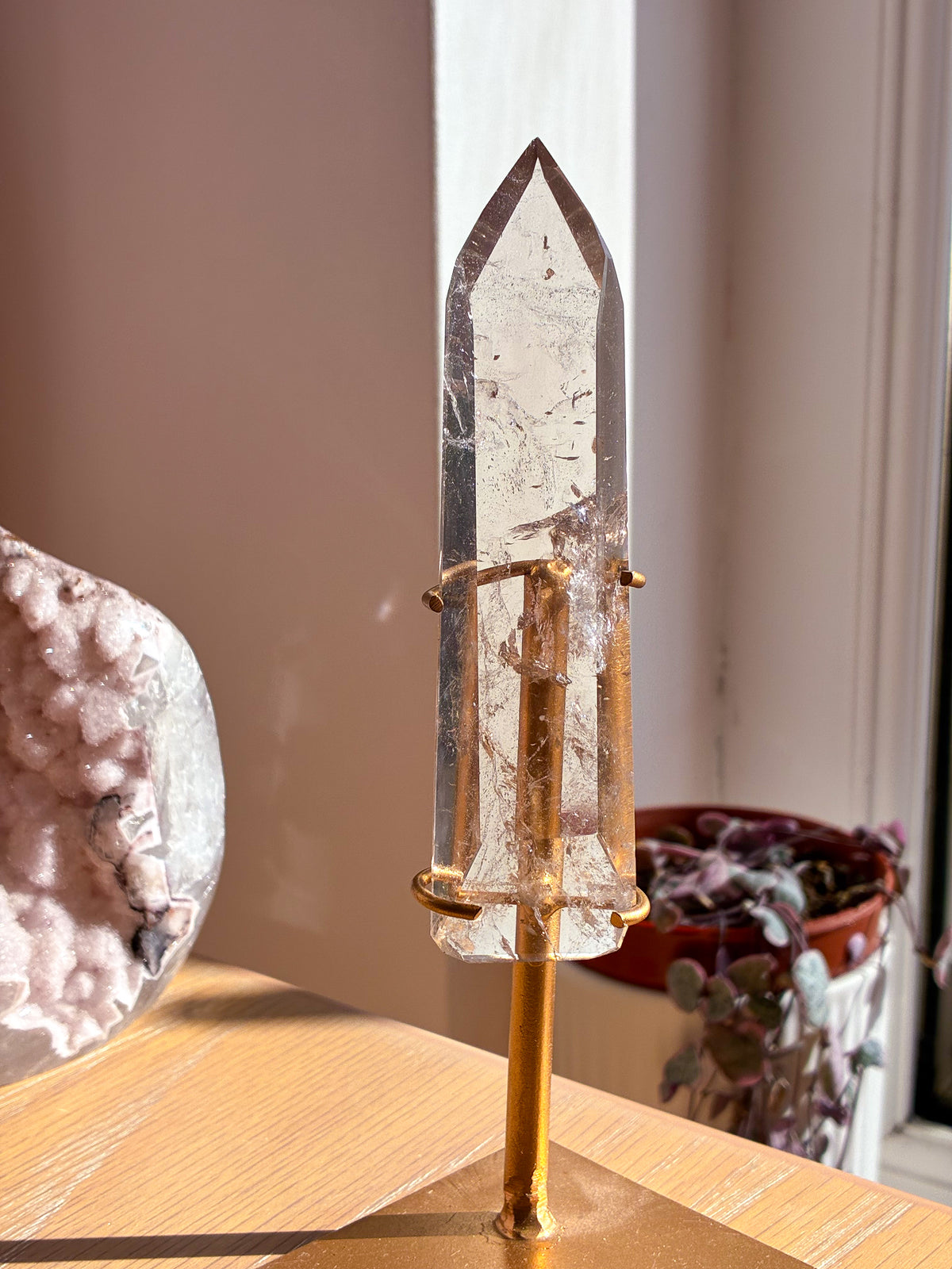 Smokey Lemurian on stand
