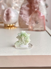 Load image into Gallery viewer, Green Tourmaline Cluster
