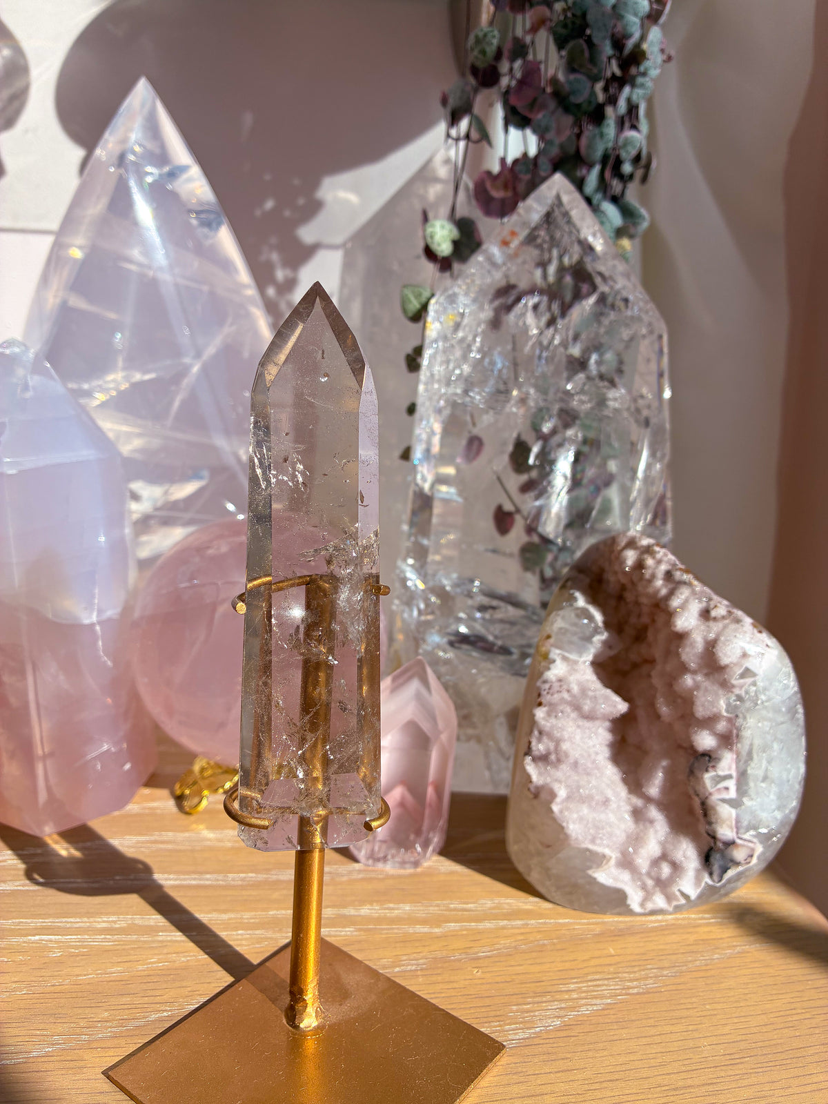 Smokey Lemurian on stand