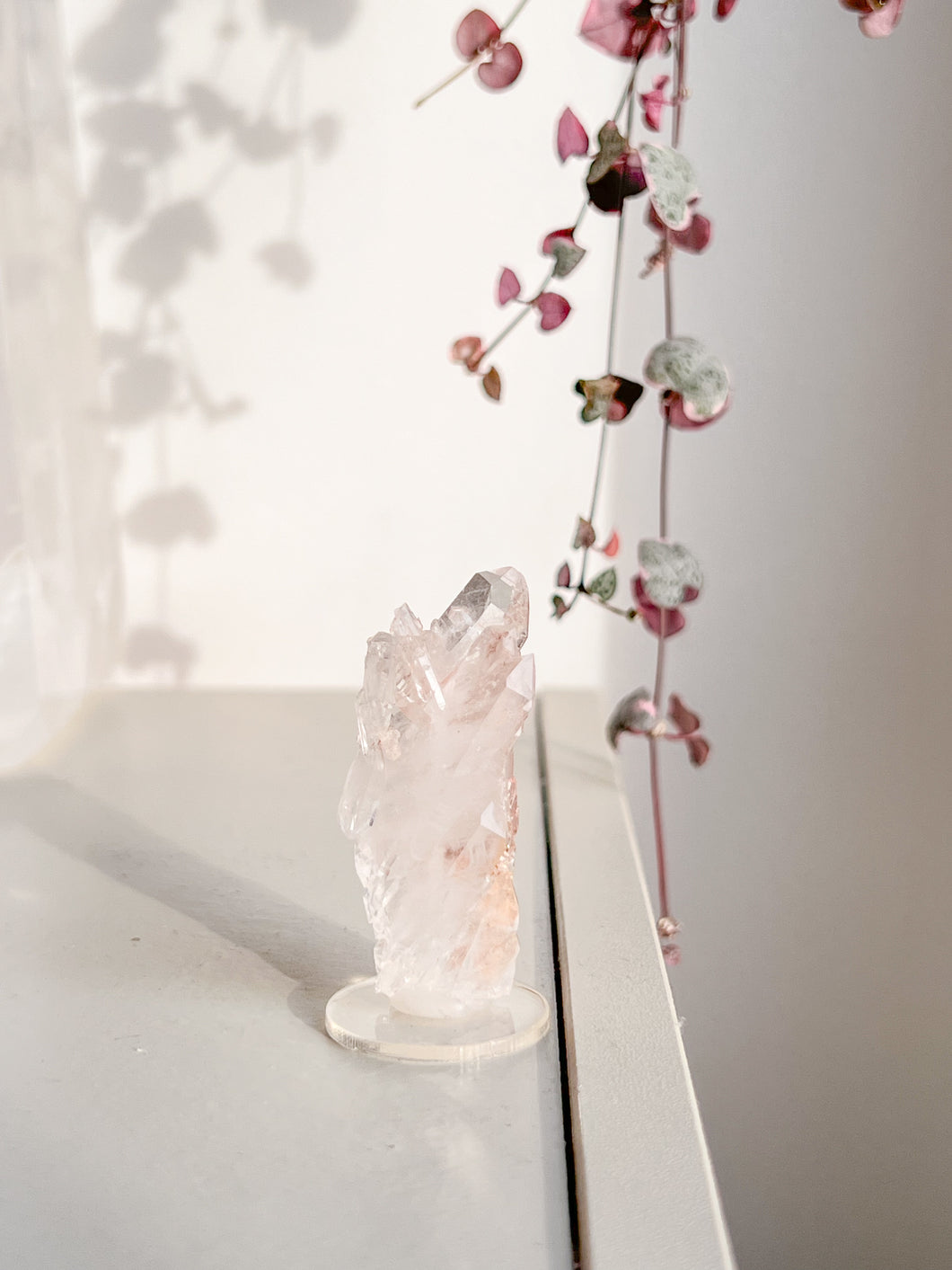 Sacred Pink Lemurian Cluster