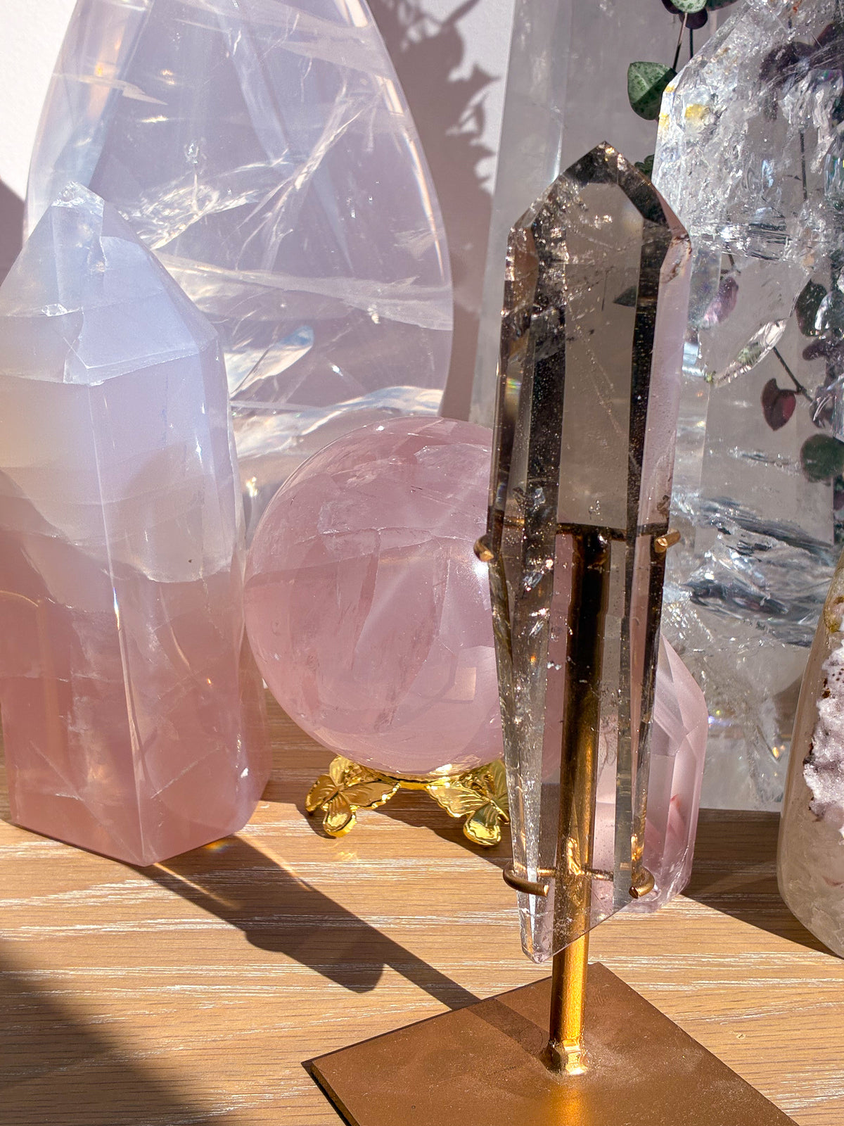 Smokey Lemurian on stand