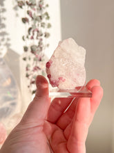 Load image into Gallery viewer, Pink Tourmaline in Quartz
