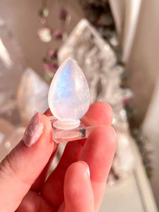 Gem grade moonstone teardrop