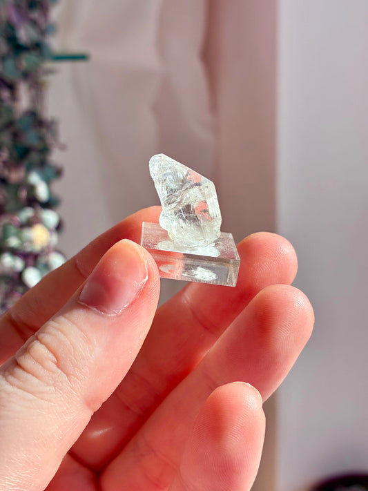 Danburite specimen