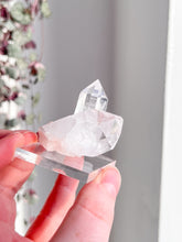 Load image into Gallery viewer, Sacred Pink Lemurian Cluster
